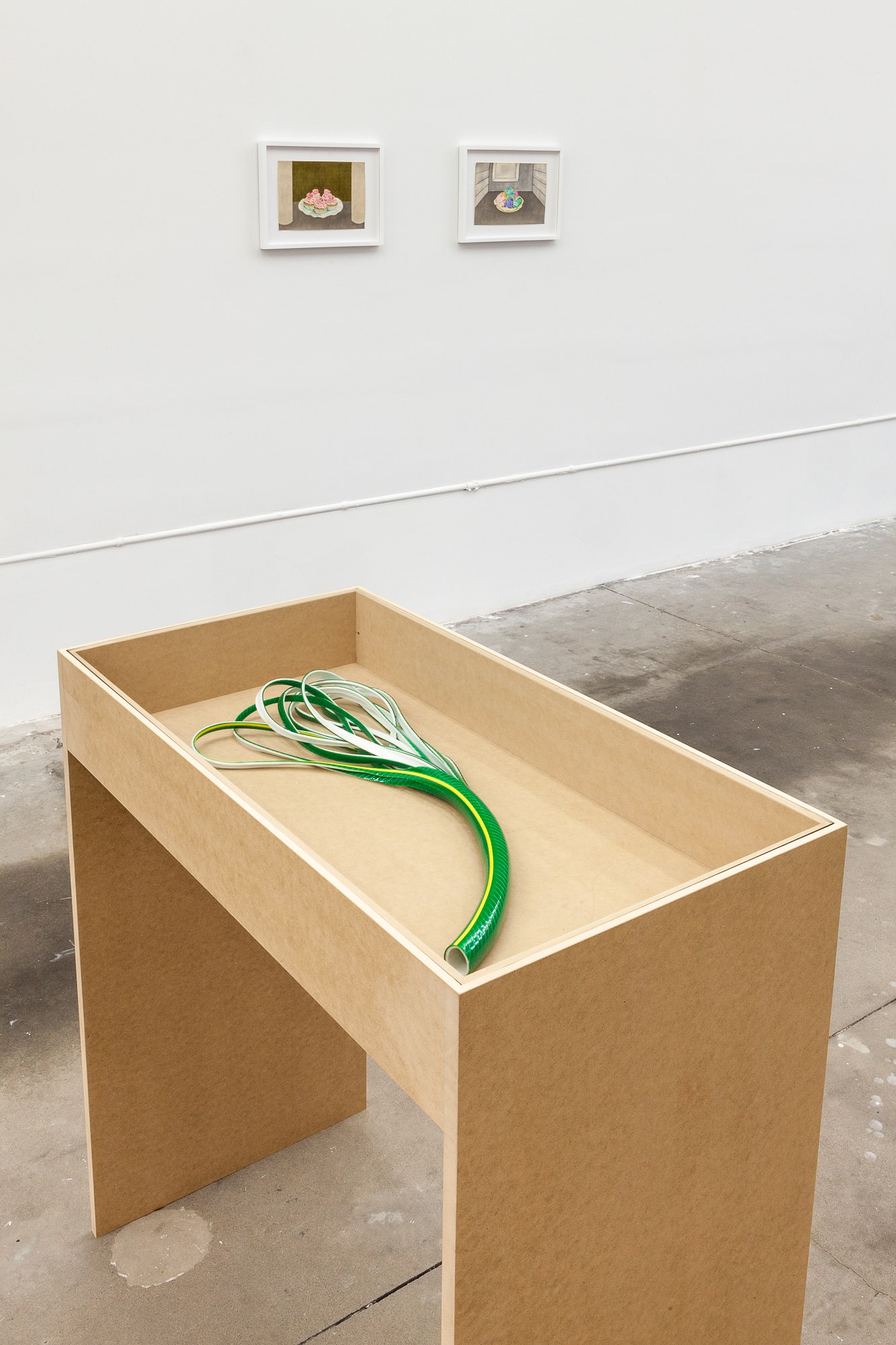 Marta Riniker-Radich, Every home a fortress every hearth a blossom at Swiss Institute, photo 16
