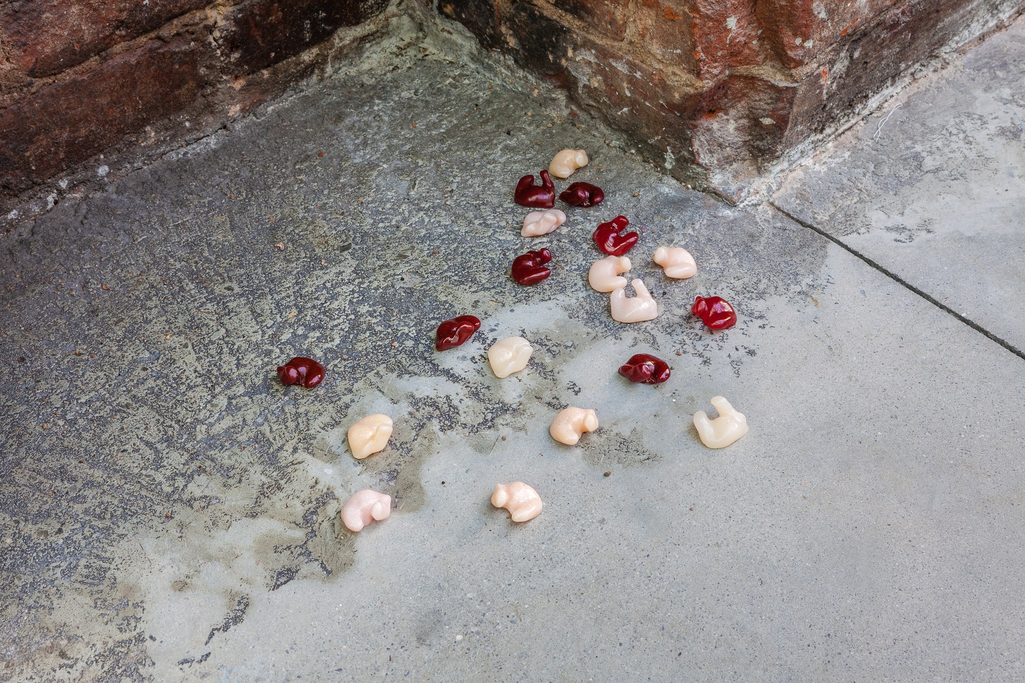 Marta Riniker-Radich, Every home a fortress every hearth a blossom at Swiss Institute, photo 15