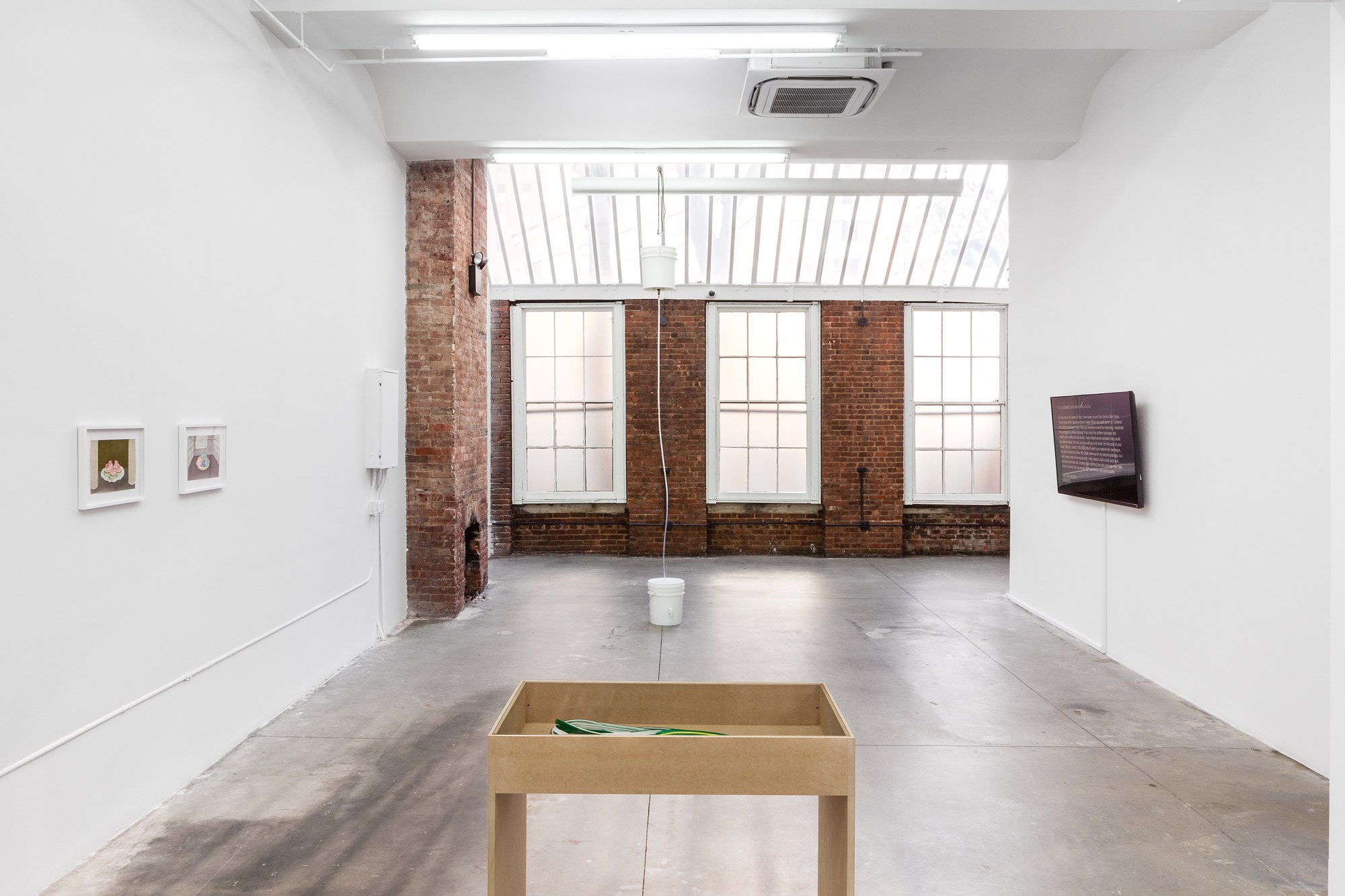 Marta Riniker-Radich, Every home a fortress every hearth a blossom at Swiss Institute, photo 21