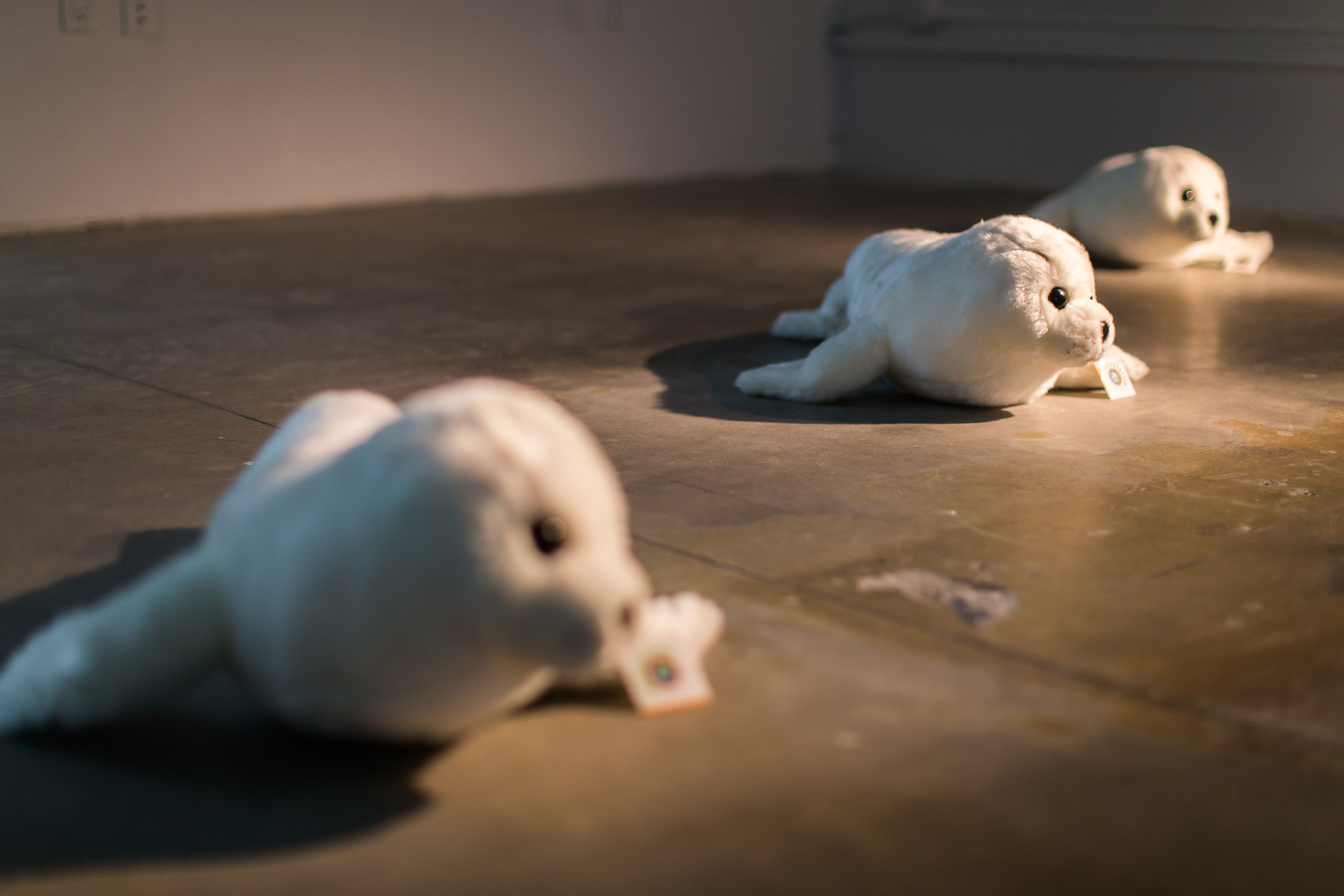 Against the Romance of Community, Against the Romance of Community at Swiss Institute, photo 10