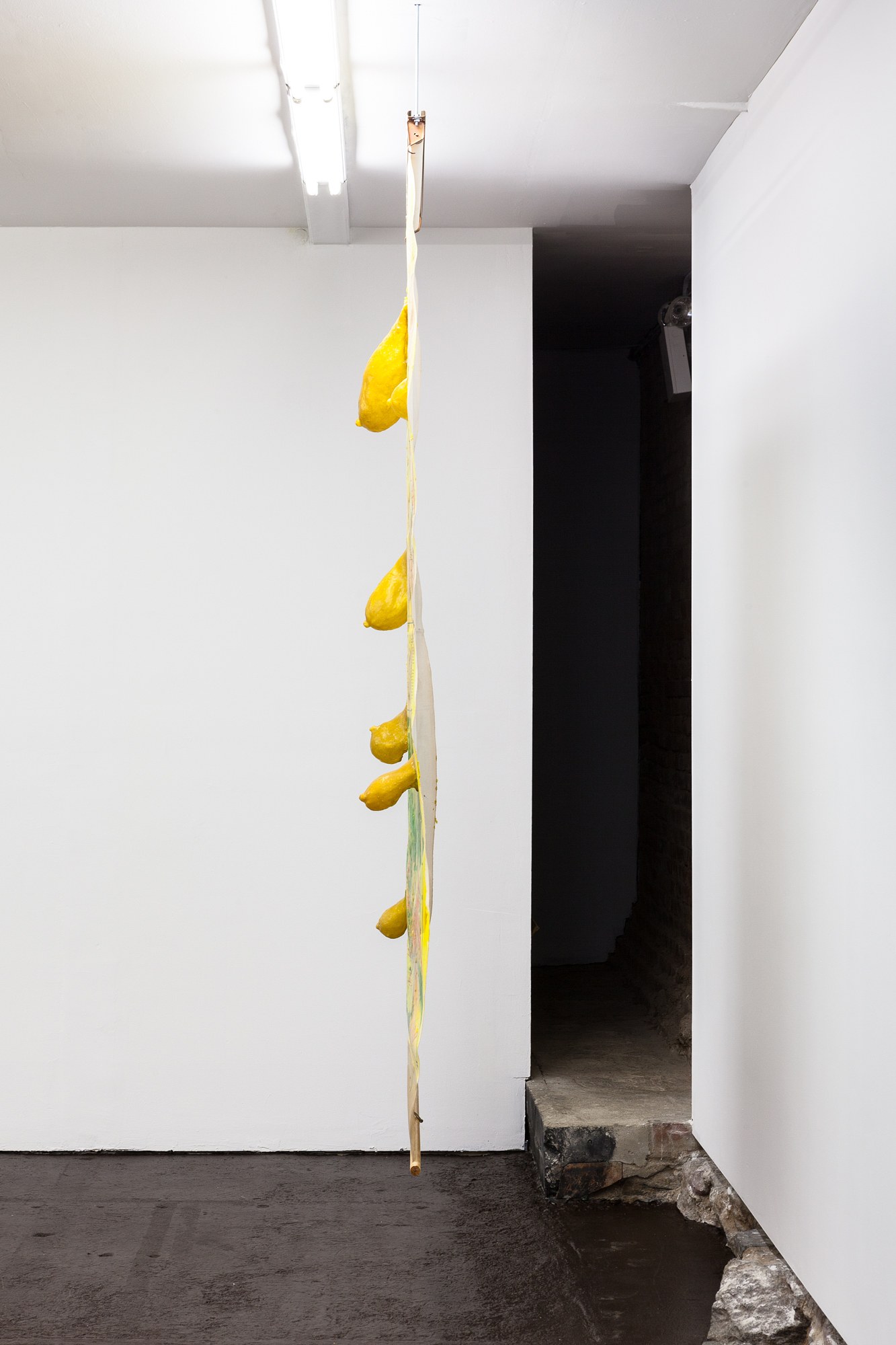Olga Balema, Early Man at Swiss Institute, photo 2