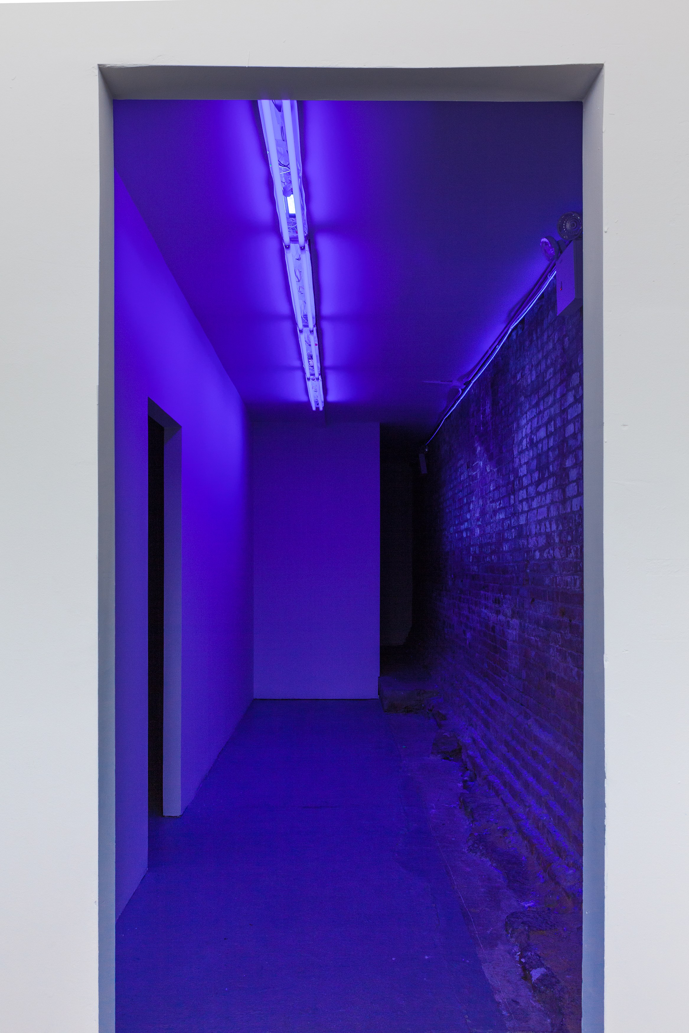 Thomas Julier, Dawn in the Basement at Swiss Institute, photo 5