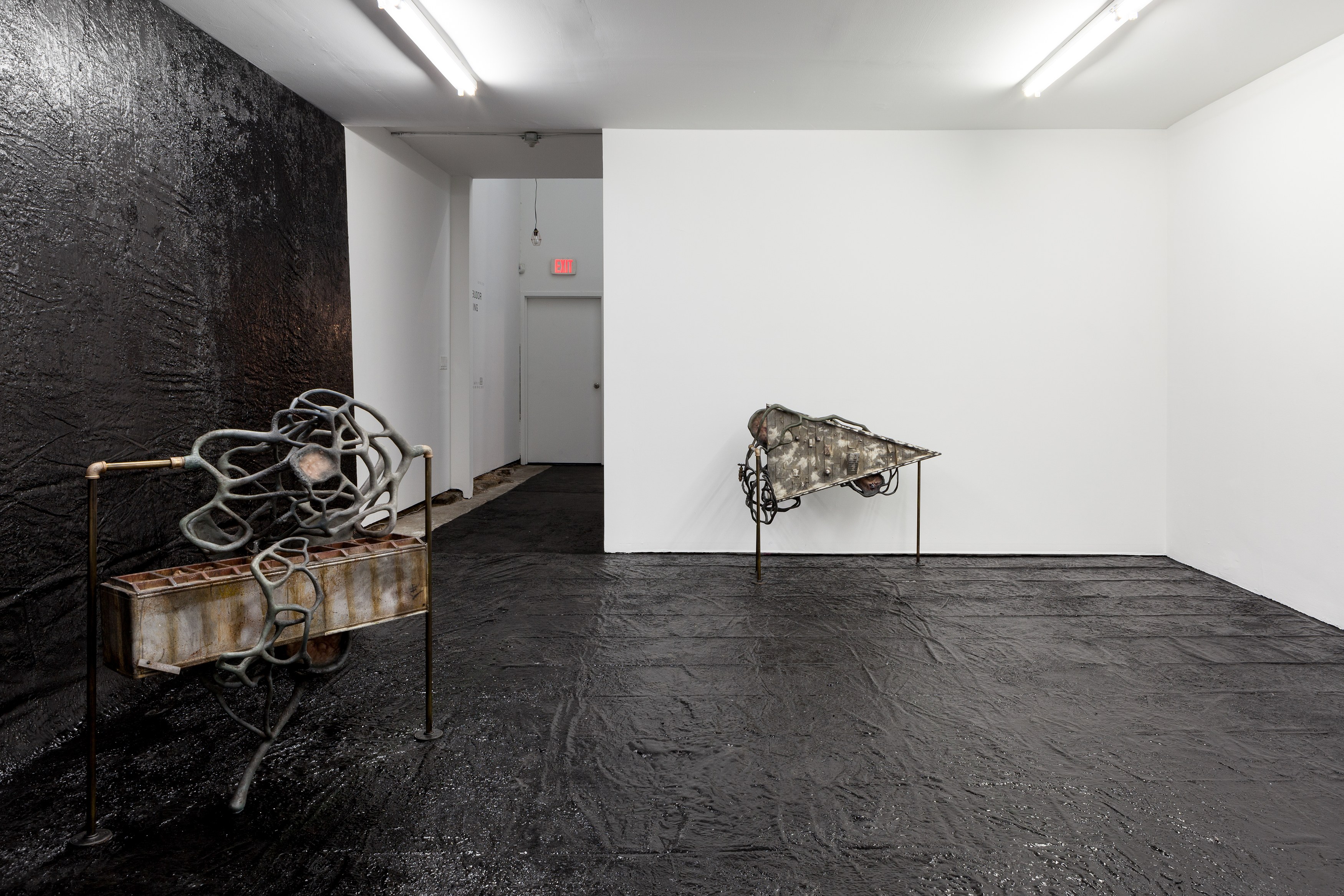 Dora Budor, Spring at Swiss Institute, photo 2