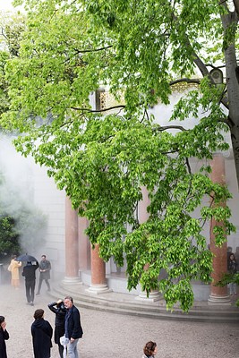 Image 13 of 37