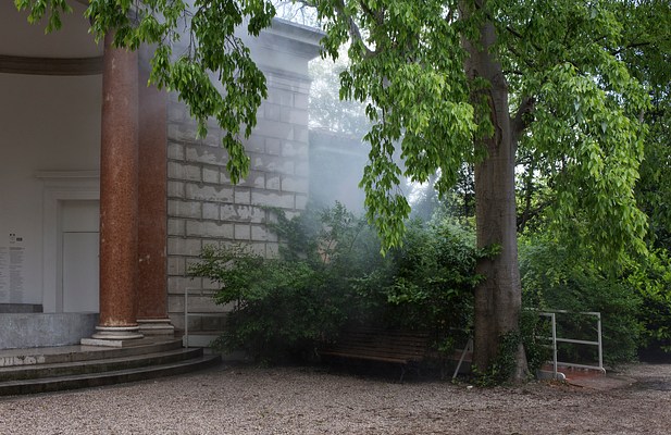 Image 11 of 37
