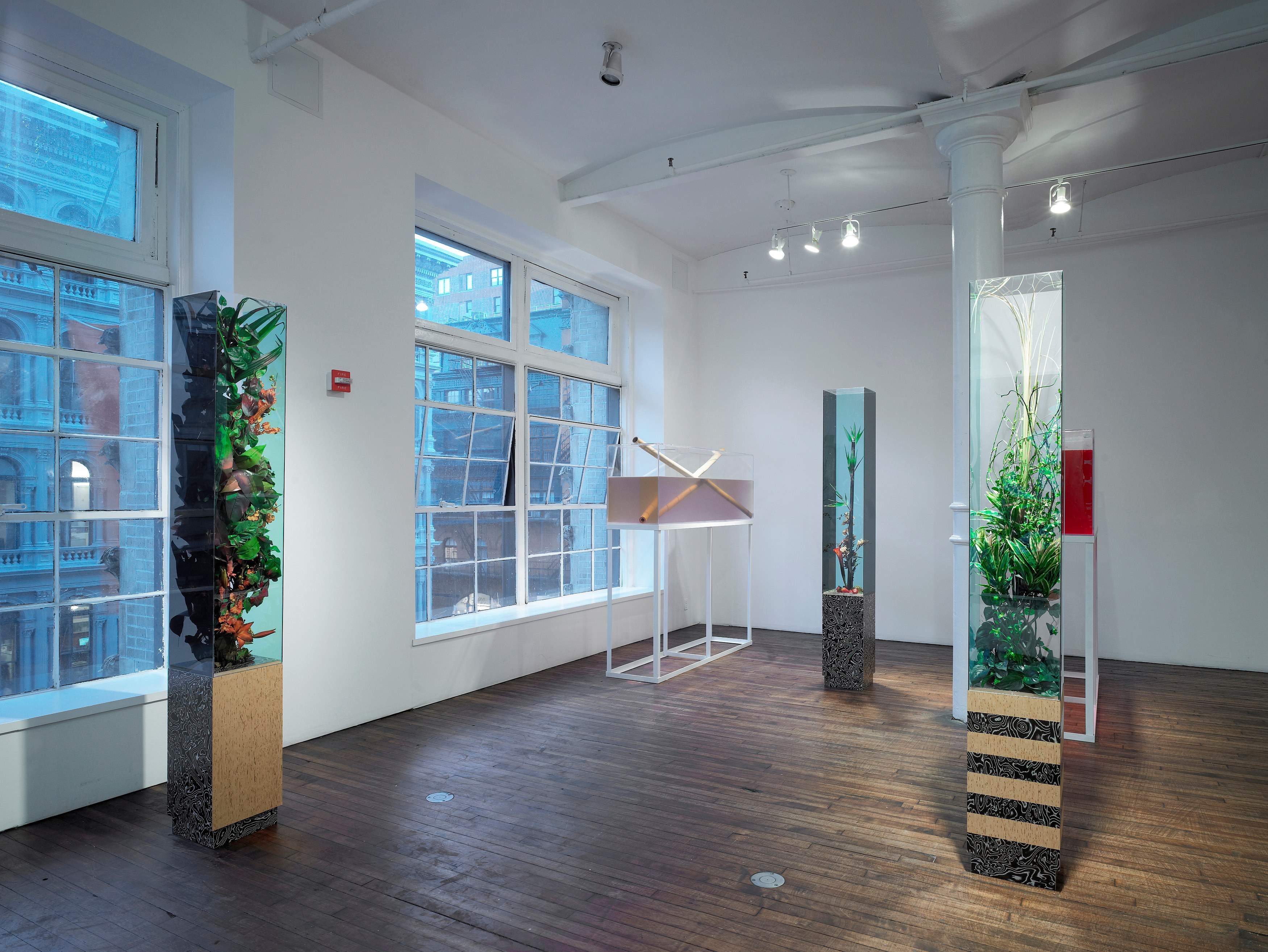 Tobias Madison, Hydrate + Perform / Yes I Can! The Movie: A Preview at Swiss Institute, photo 6