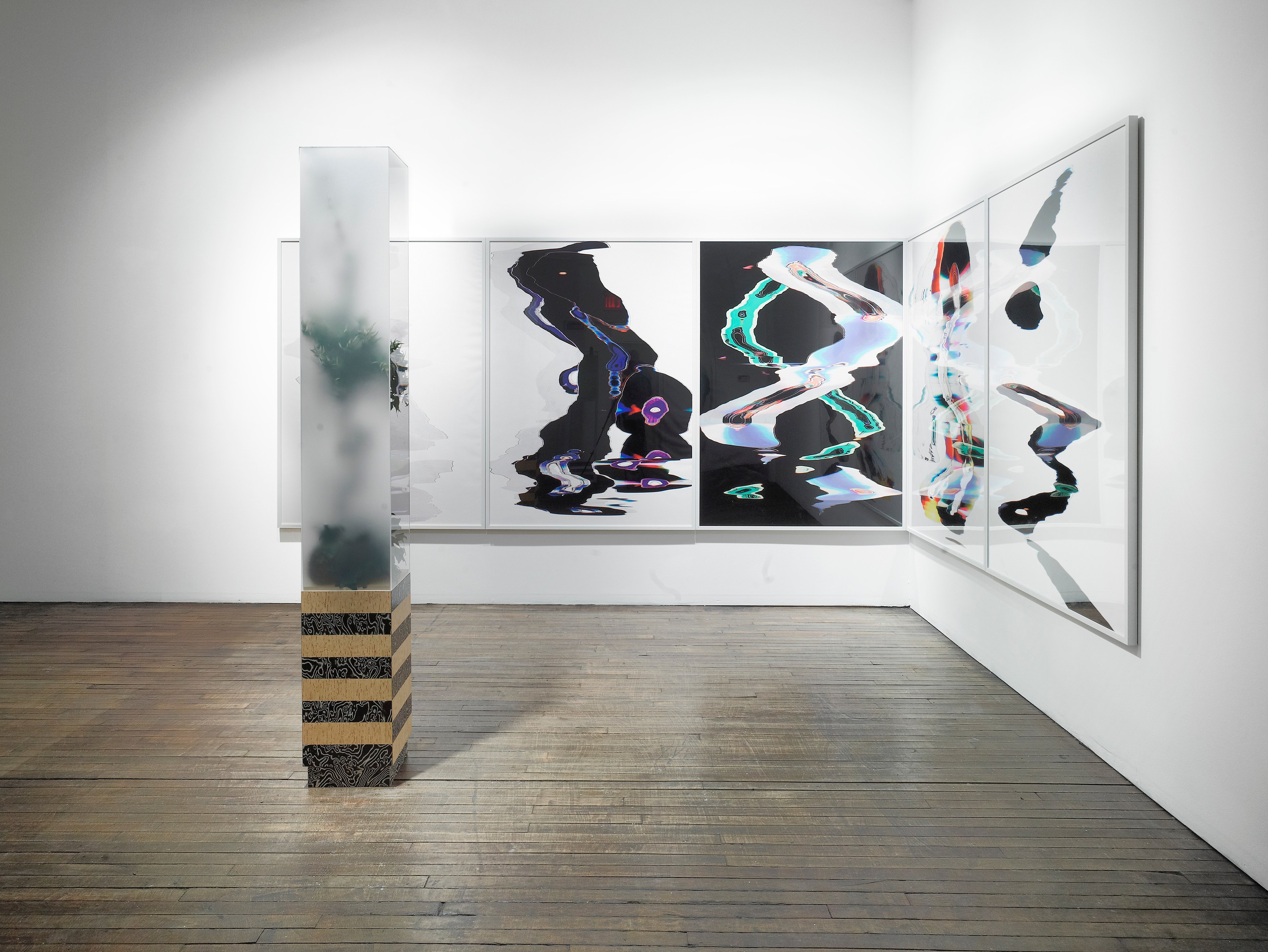 Tobias Madison, Hydrate + Perform / Yes I Can! The Movie: A Preview at Swiss Institute, photo 7