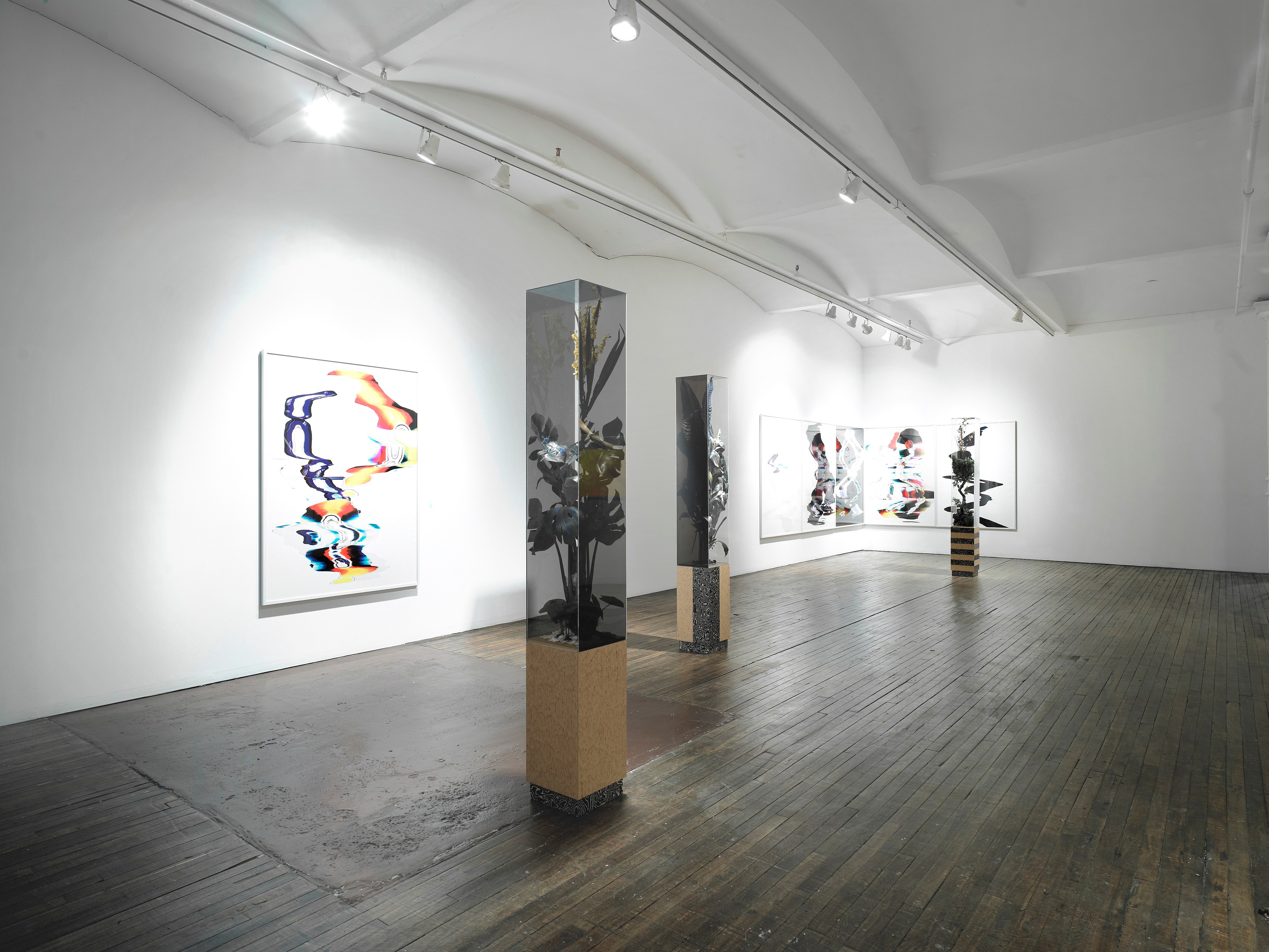 Tobias Madison, Hydrate + Perform / Yes I Can! The Movie: A Preview at Swiss Institute, photo 10