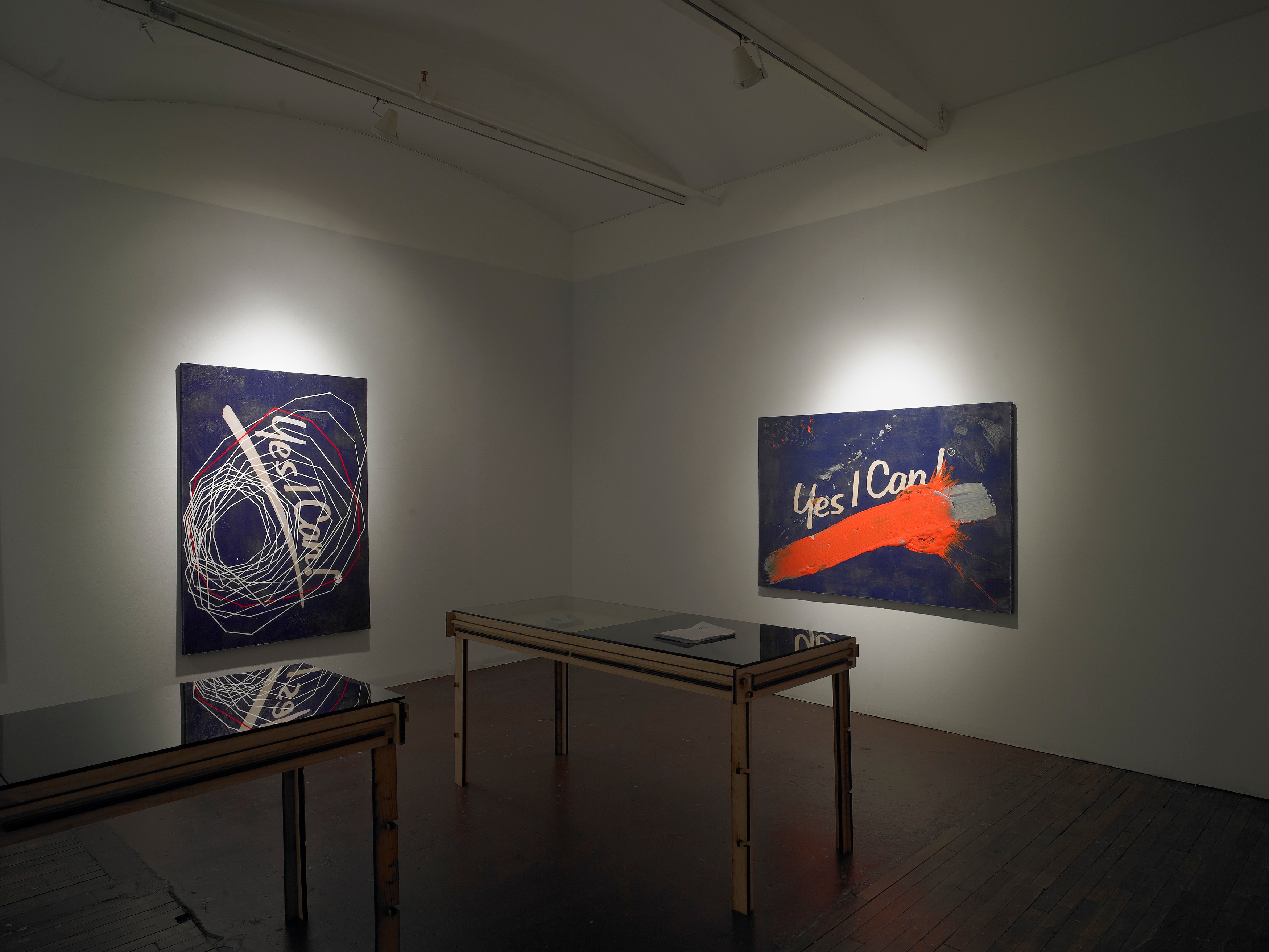 Tobias Madison, Hydrate + Perform / Yes I Can! The Movie: A Preview at Swiss Institute, photo 21