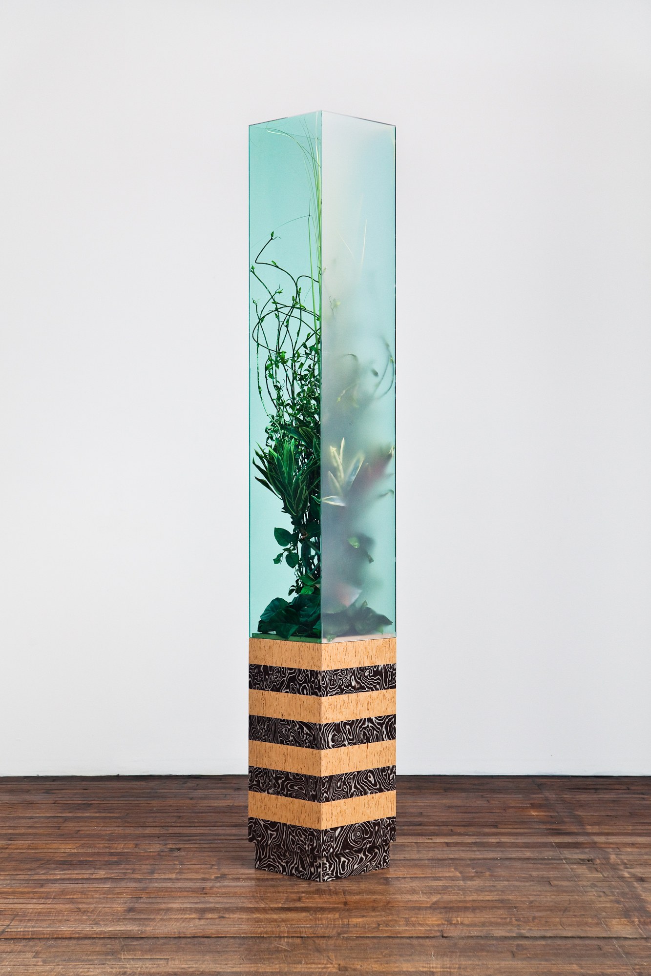 Tobias Madison, Hydrate + Perform / Yes I Can! The Movie: A Preview at Swiss Institute, photo 41