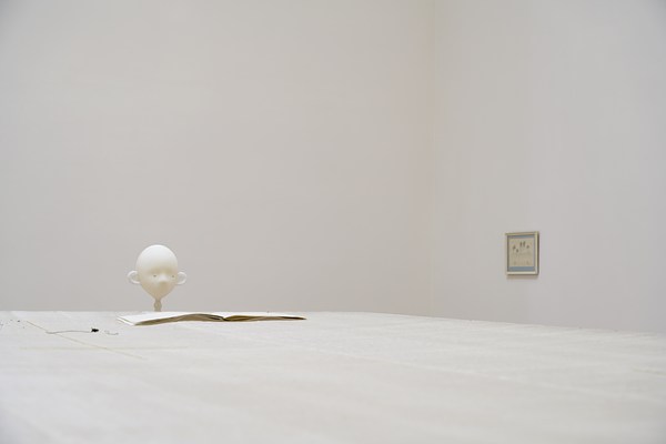 Image 7 of 29