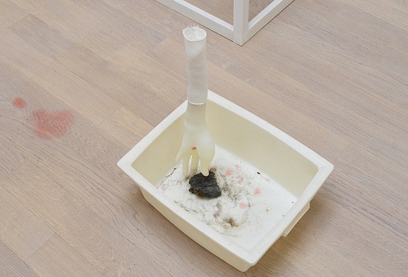 Image 11 of 29