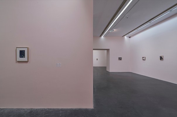 Image 9 of 26