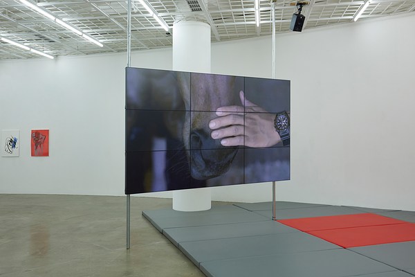 Image 4 of 13