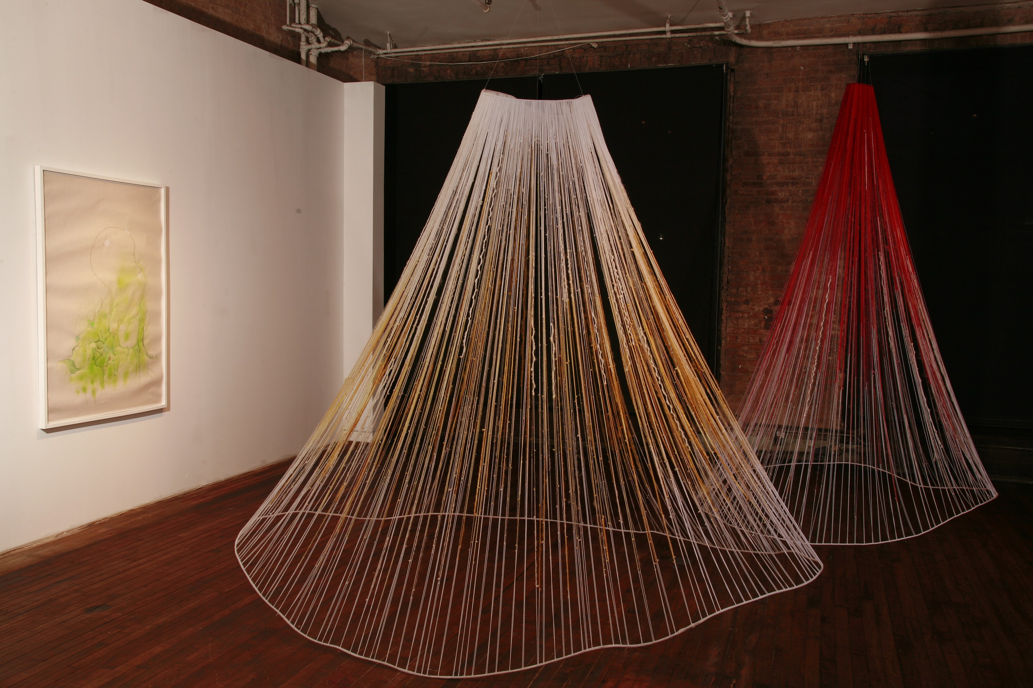 Vidya Gastaldon, Stop Believing, Start Knowing at Swiss Institute, photo 2