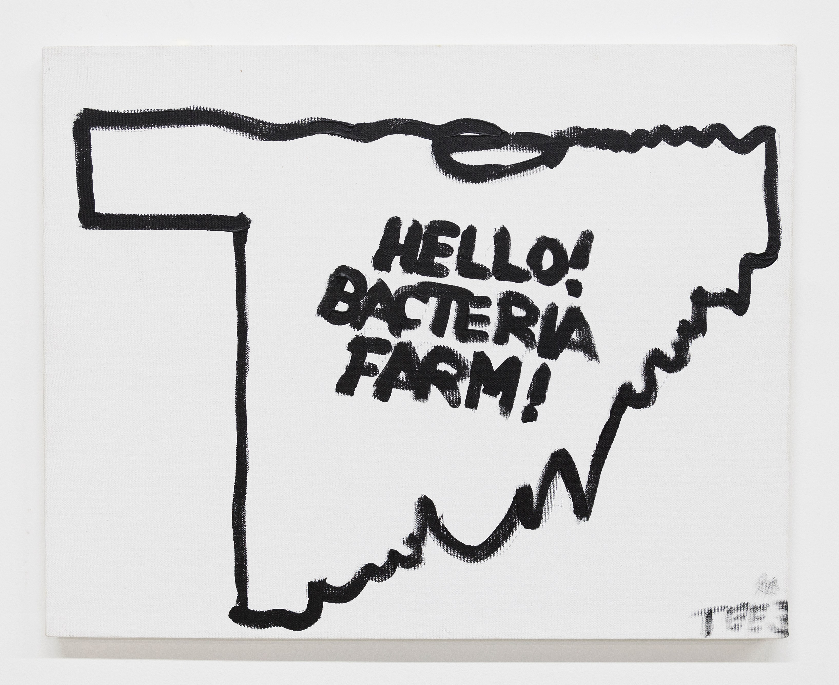 Gene Beery, Transmissions From Logoscape Ranch at Derosia, photo 27