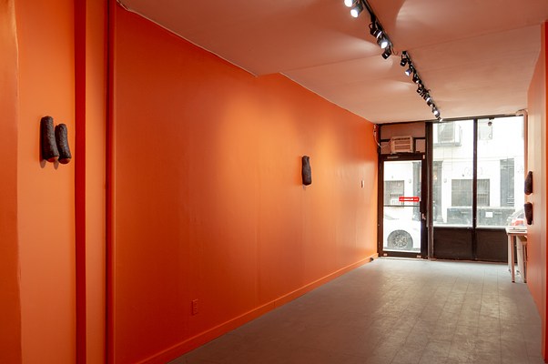 Image 12 of 17