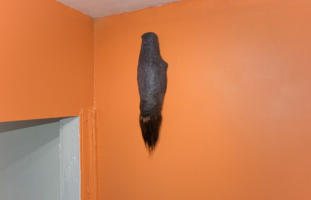 Image 6 of 17