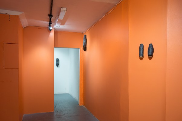 Image 5 of 17
