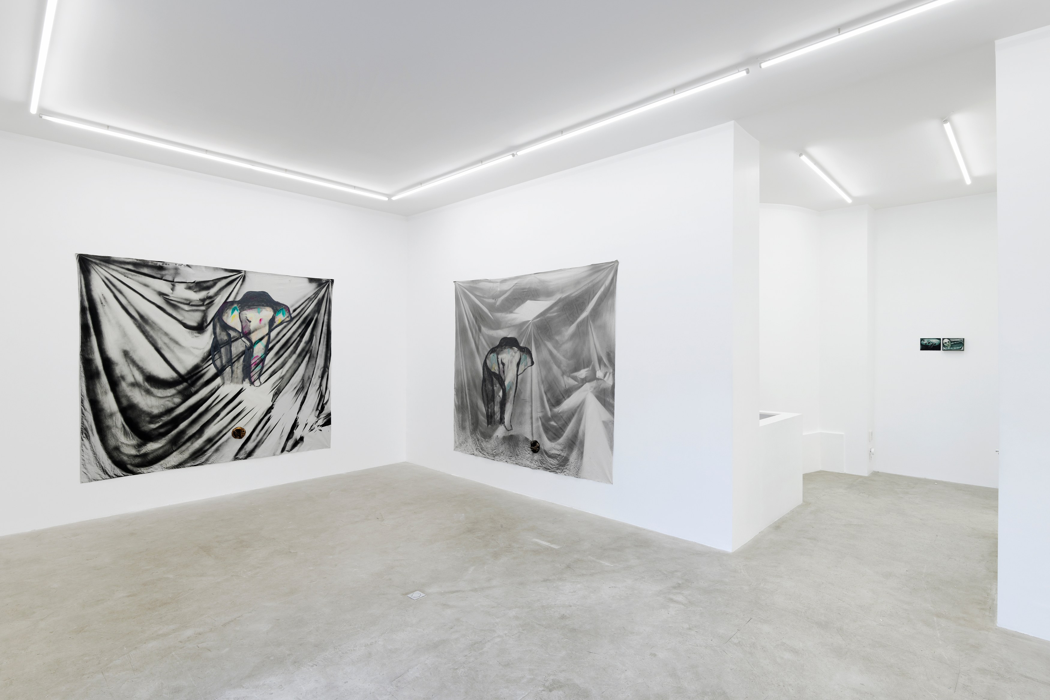 Enzo Cucchi, Enzo Cucchi at Galerie Balice Hertling, photo 5