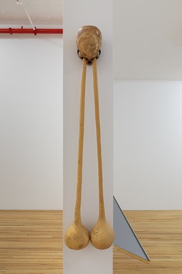 Image 4 of 36