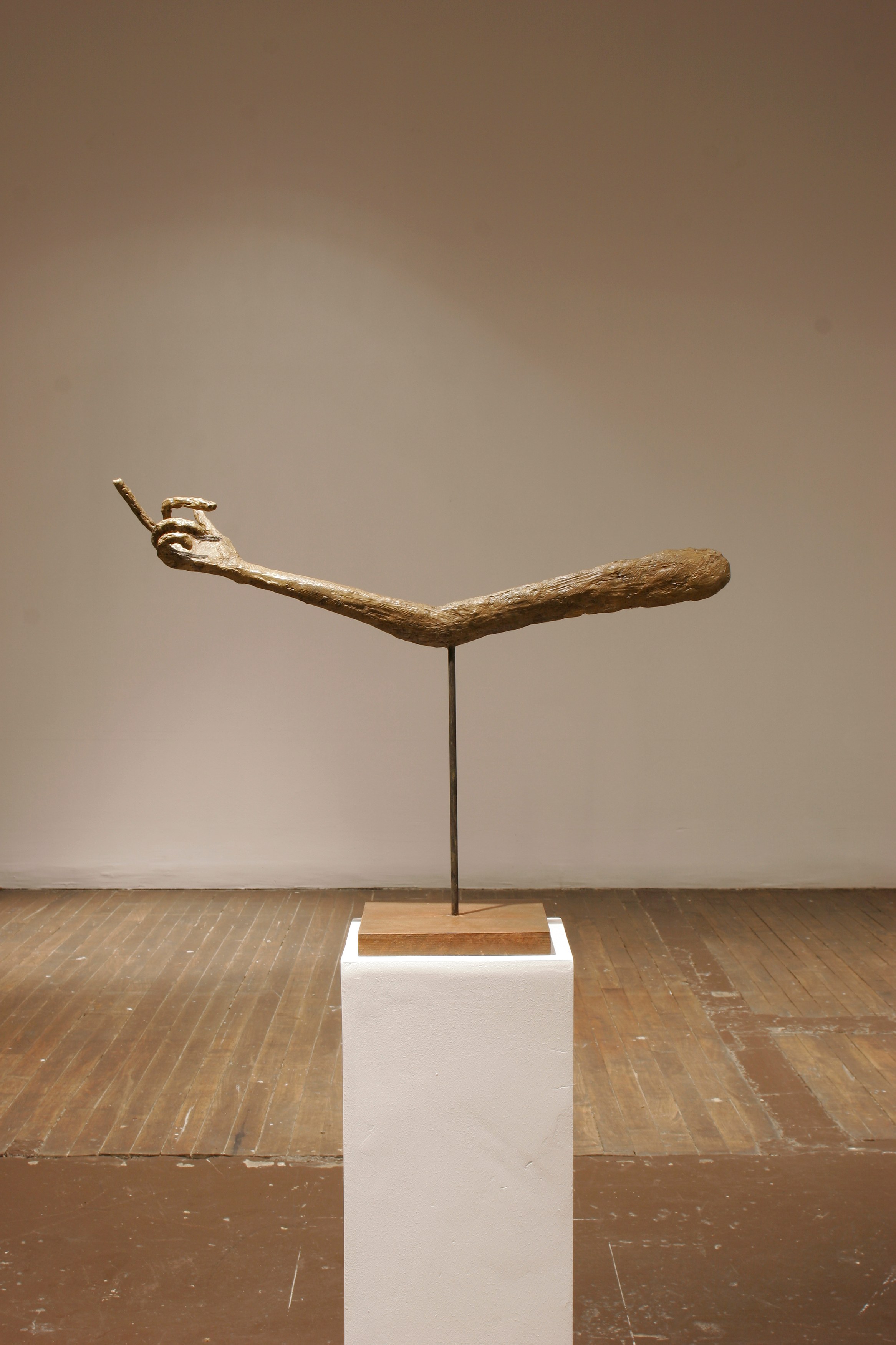 Valentin Carron, DÉCHÉANCE, ÉLÉGANCE, DÉHANCHEMENT at Swiss Institute, photo 3