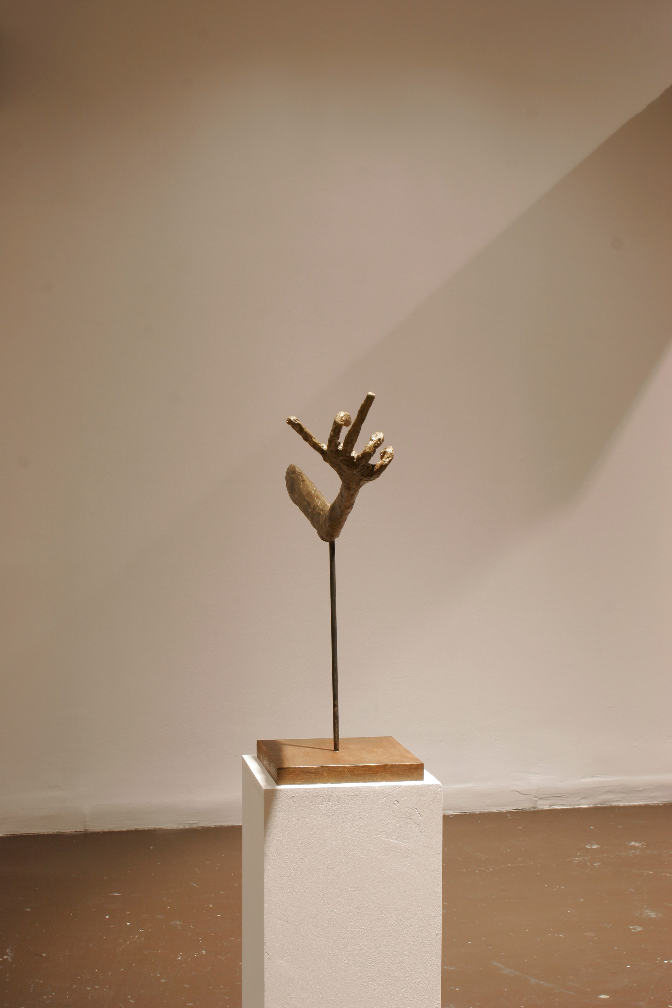 Valentin Carron, DÉCHÉANCE, ÉLÉGANCE, DÉHANCHEMENT at Swiss Institute, photo 4