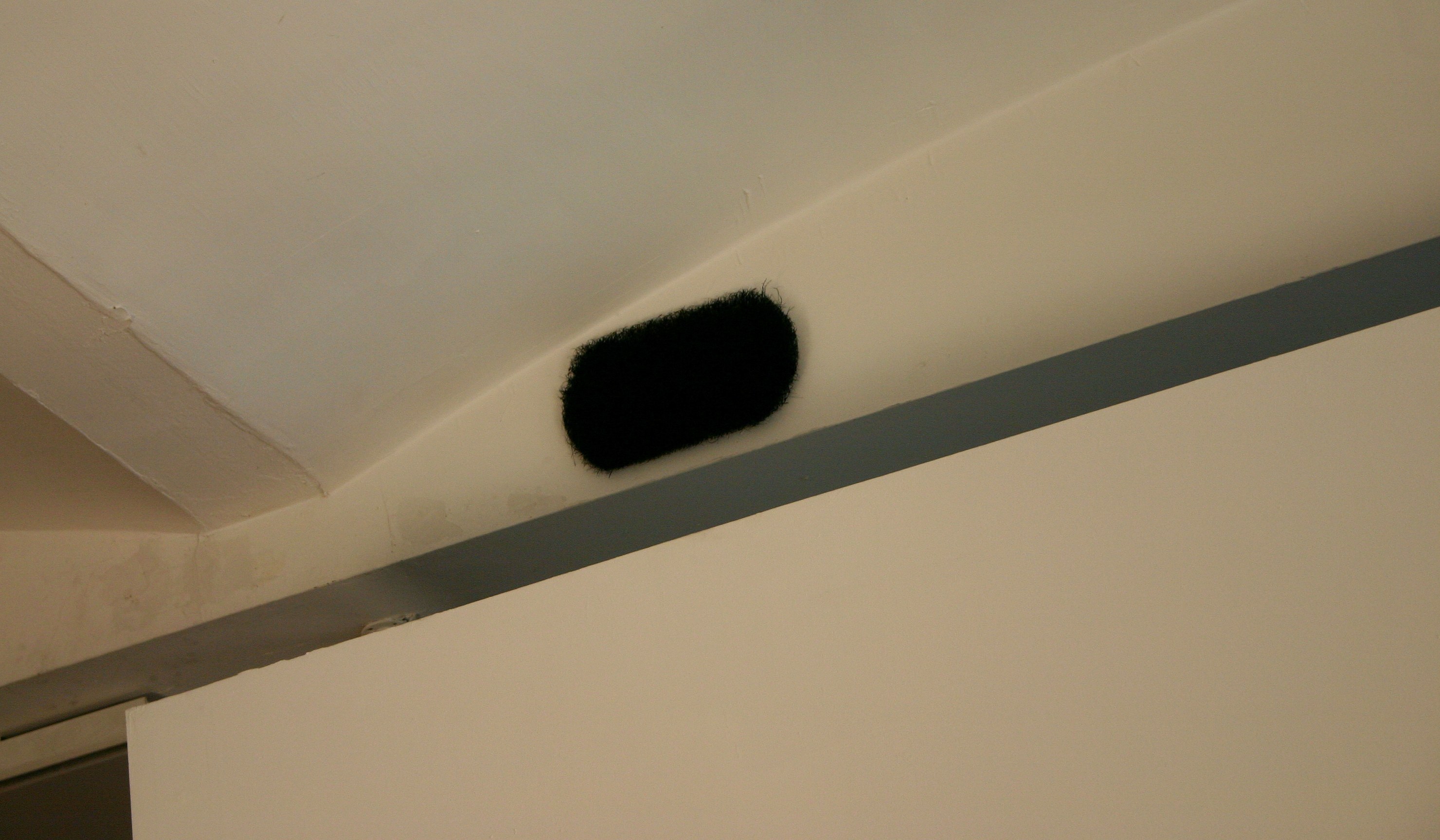 None of the Above, None of the Above at Swiss Institute, photo 6