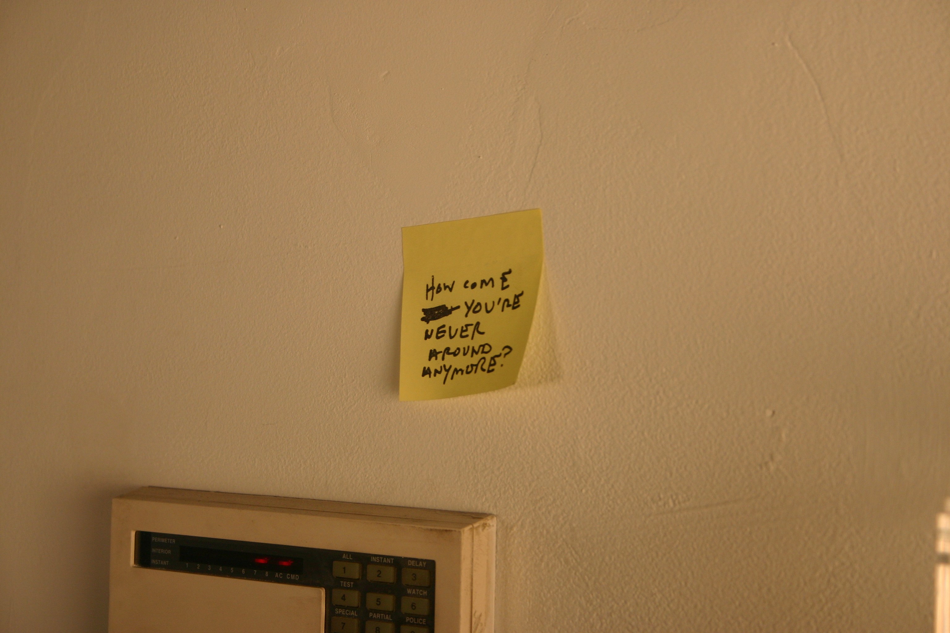 None of the Above, None of the Above at Swiss Institute, photo 21