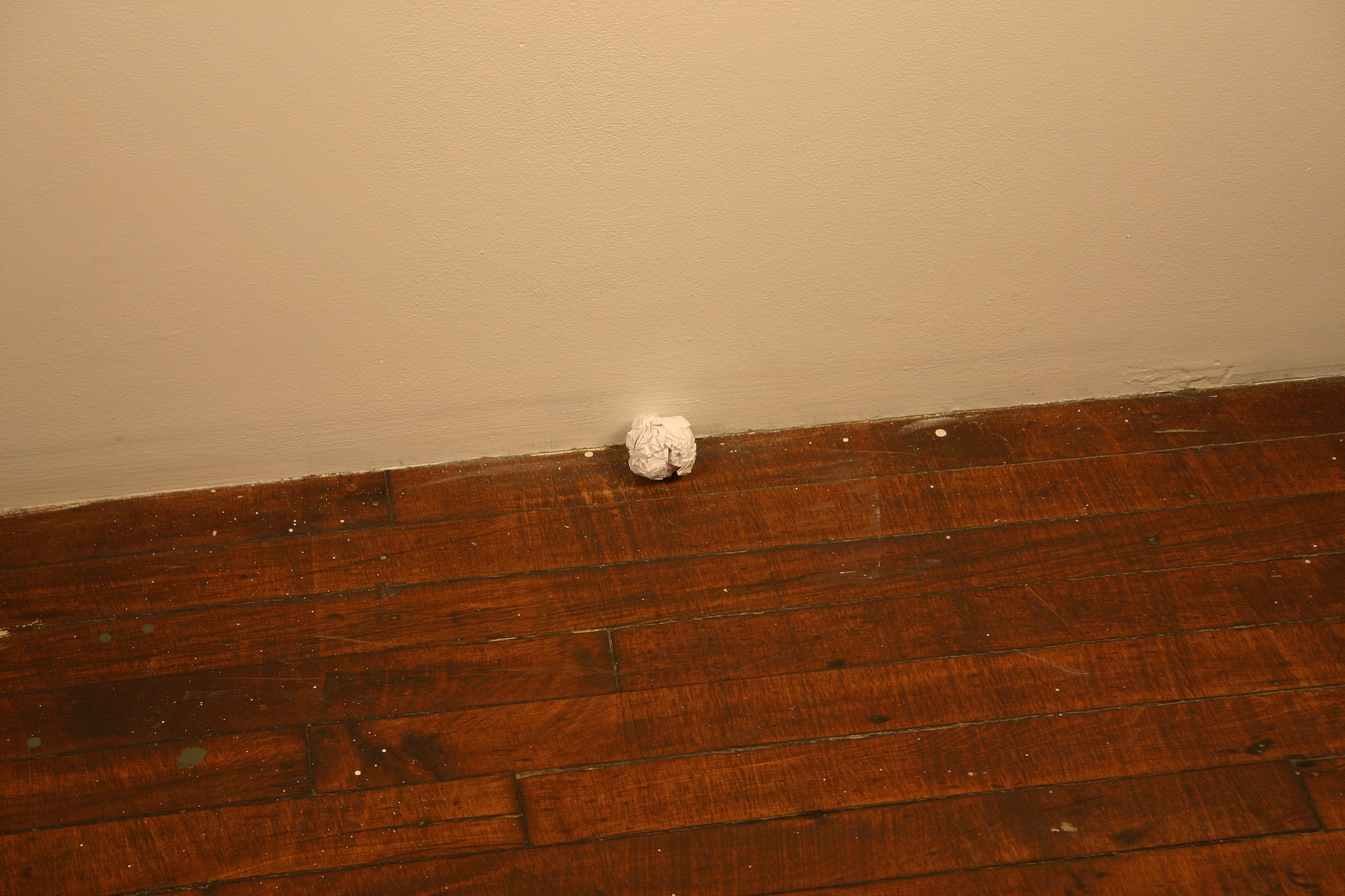 None of the Above, None of the Above at Swiss Institute, photo 11