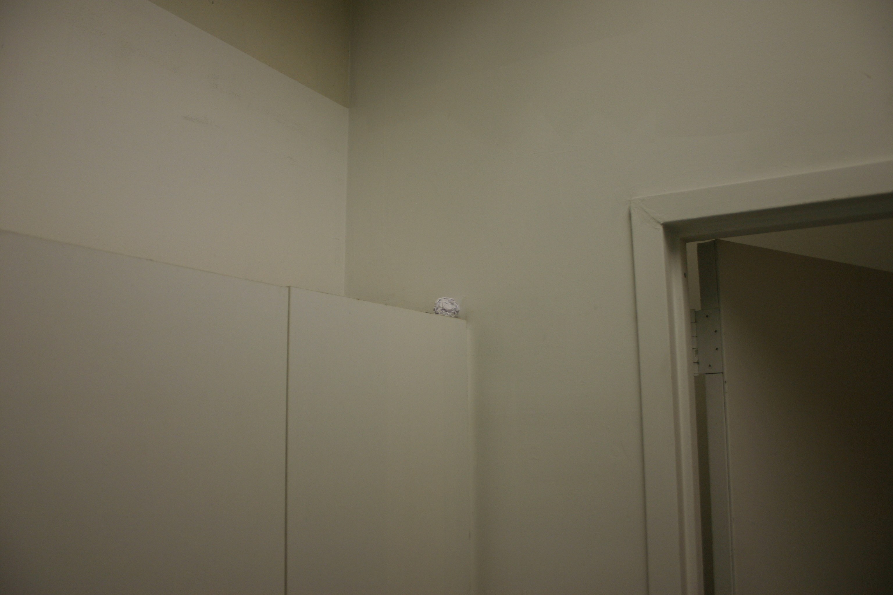 None of the Above, None of the Above at Swiss Institute, photo 59