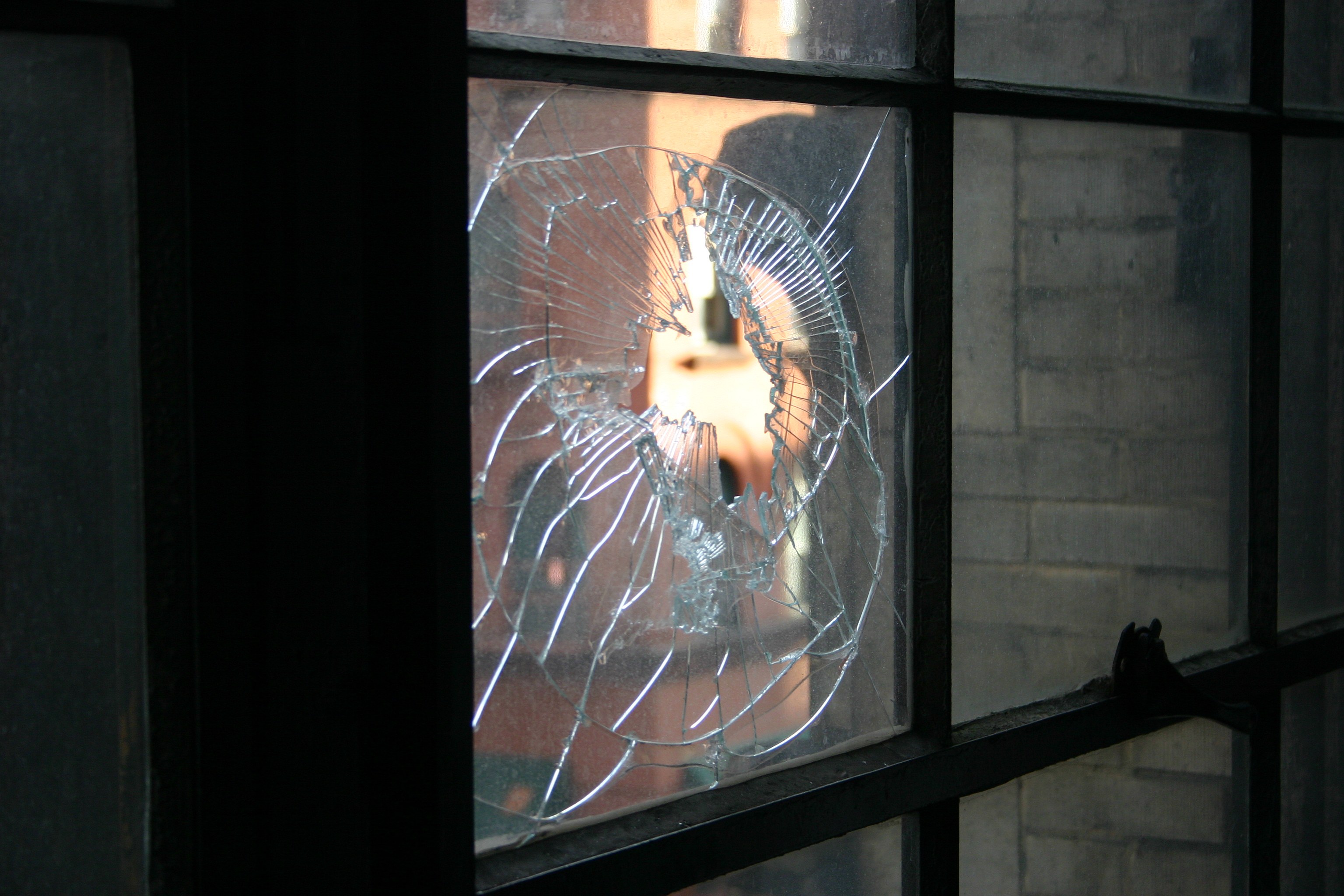 None of the Above, None of the Above at Swiss Institute, photo 55