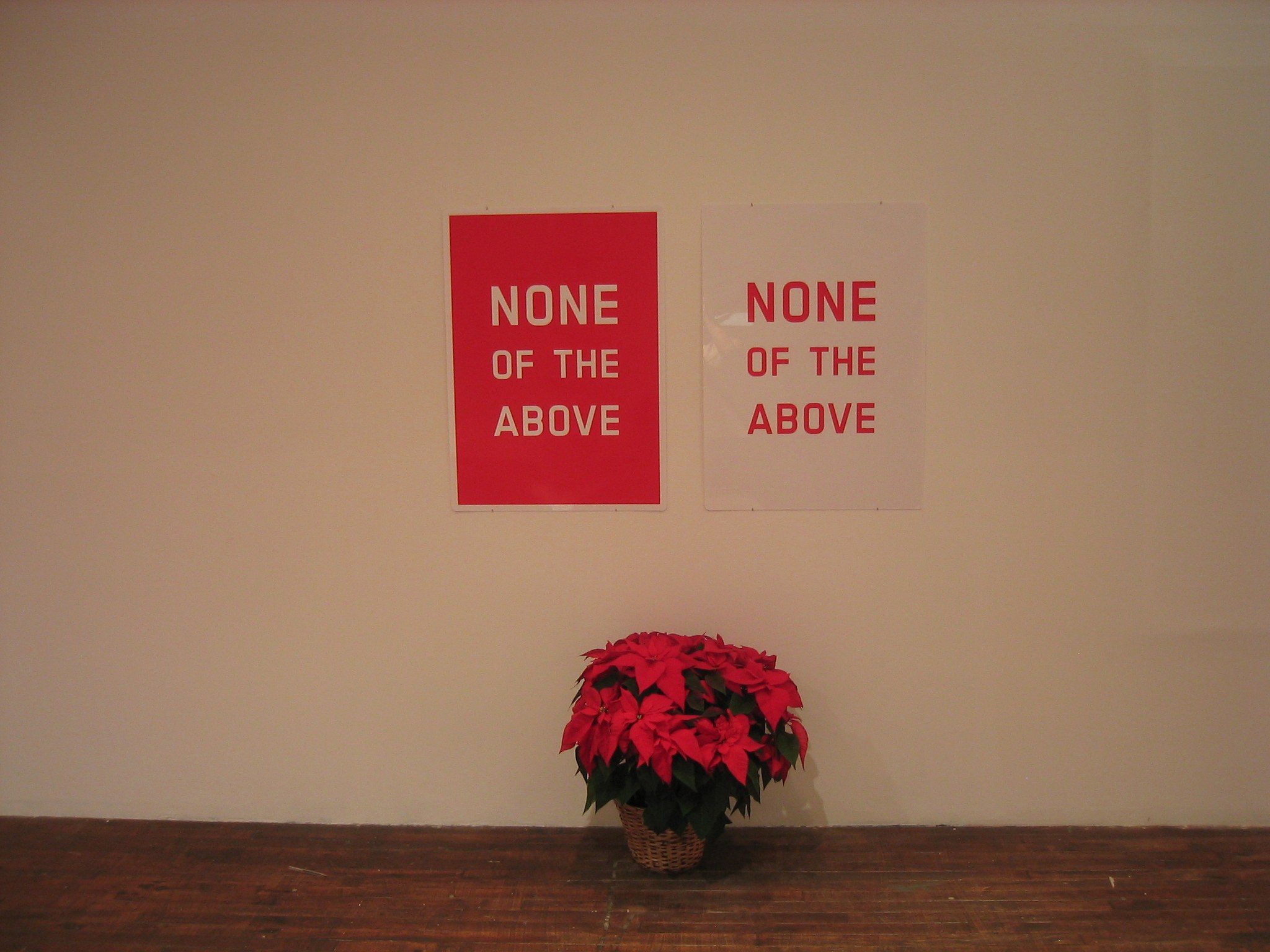 None of the Above, None of the Above at Swiss Institute, photo 33