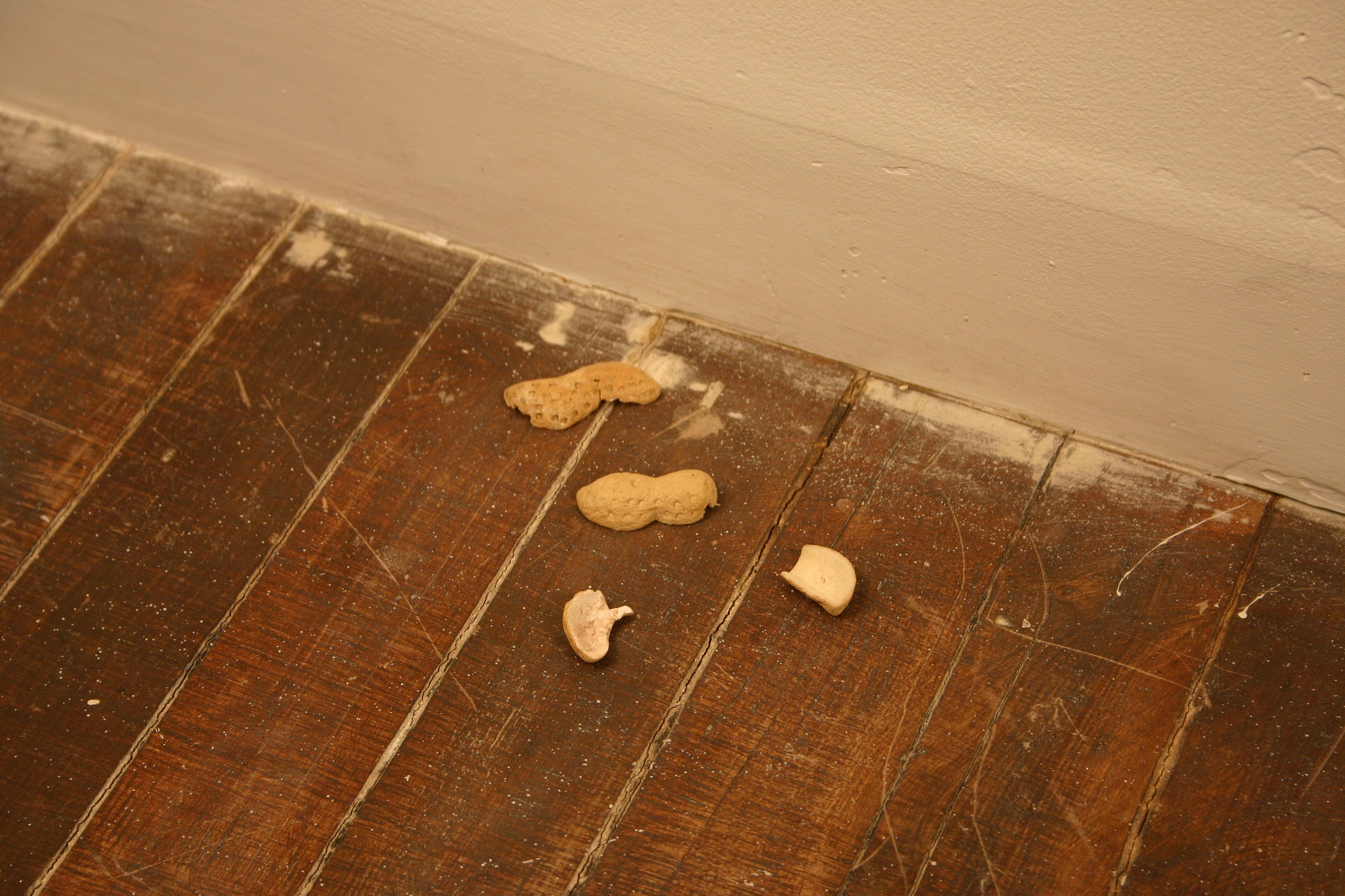 None of the Above, None of the Above at Swiss Institute, photo 13