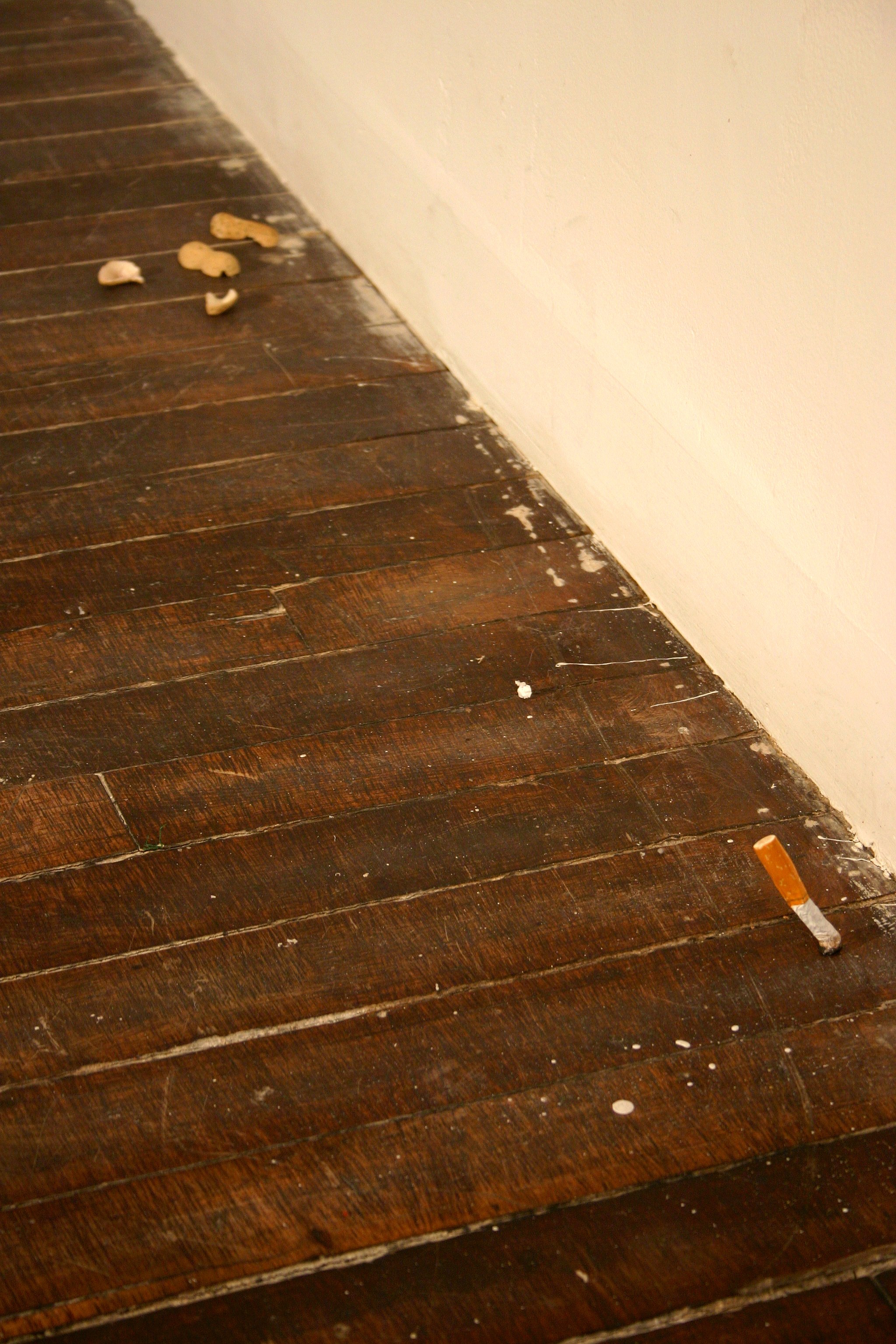 None of the Above, None of the Above at Swiss Institute, photo 12