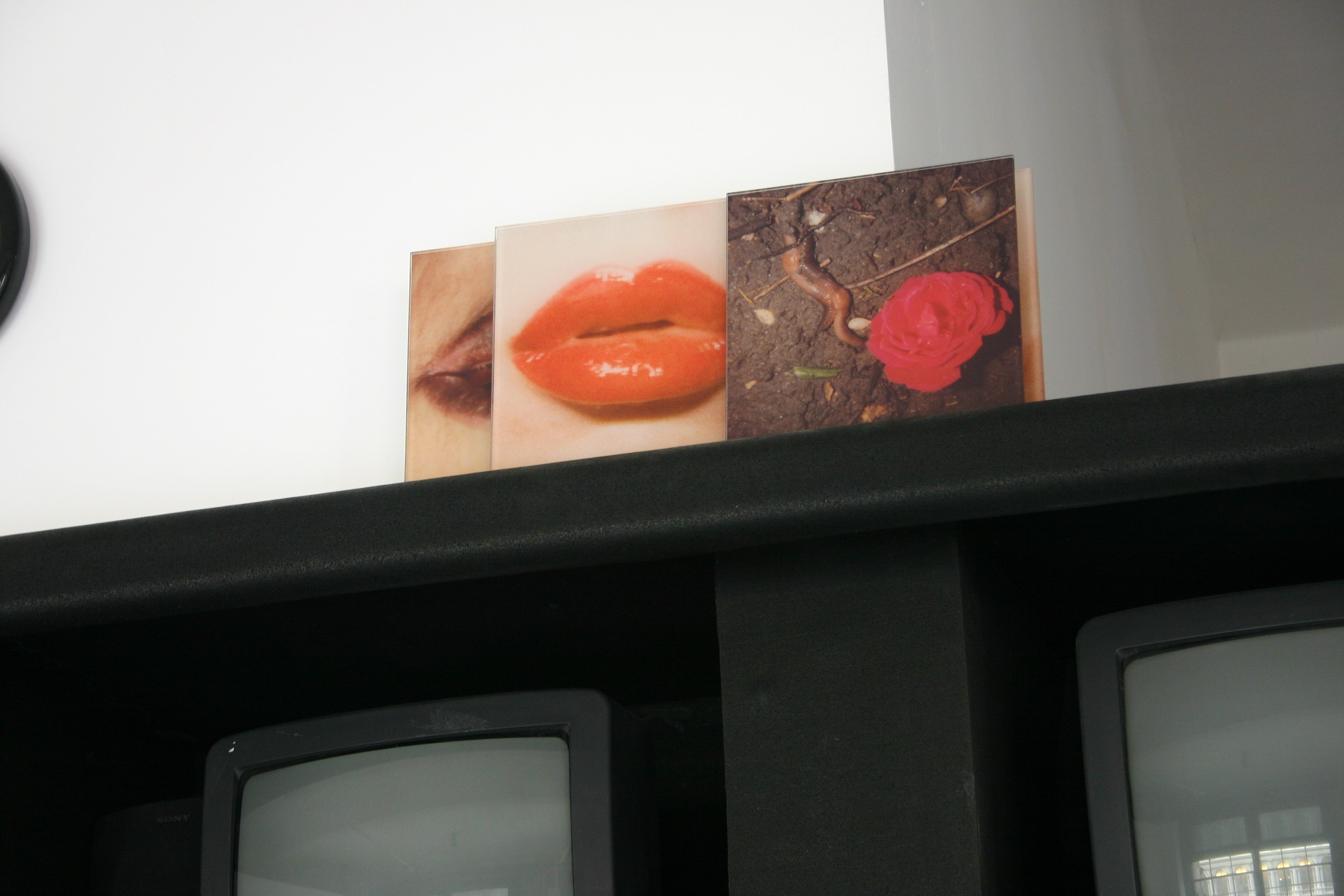 None of the Above, None of the Above at Swiss Institute, photo 31