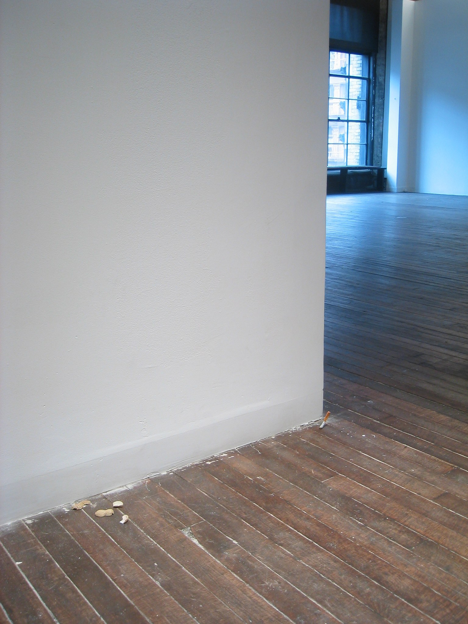 None of the Above, None of the Above at Swiss Institute, photo 2