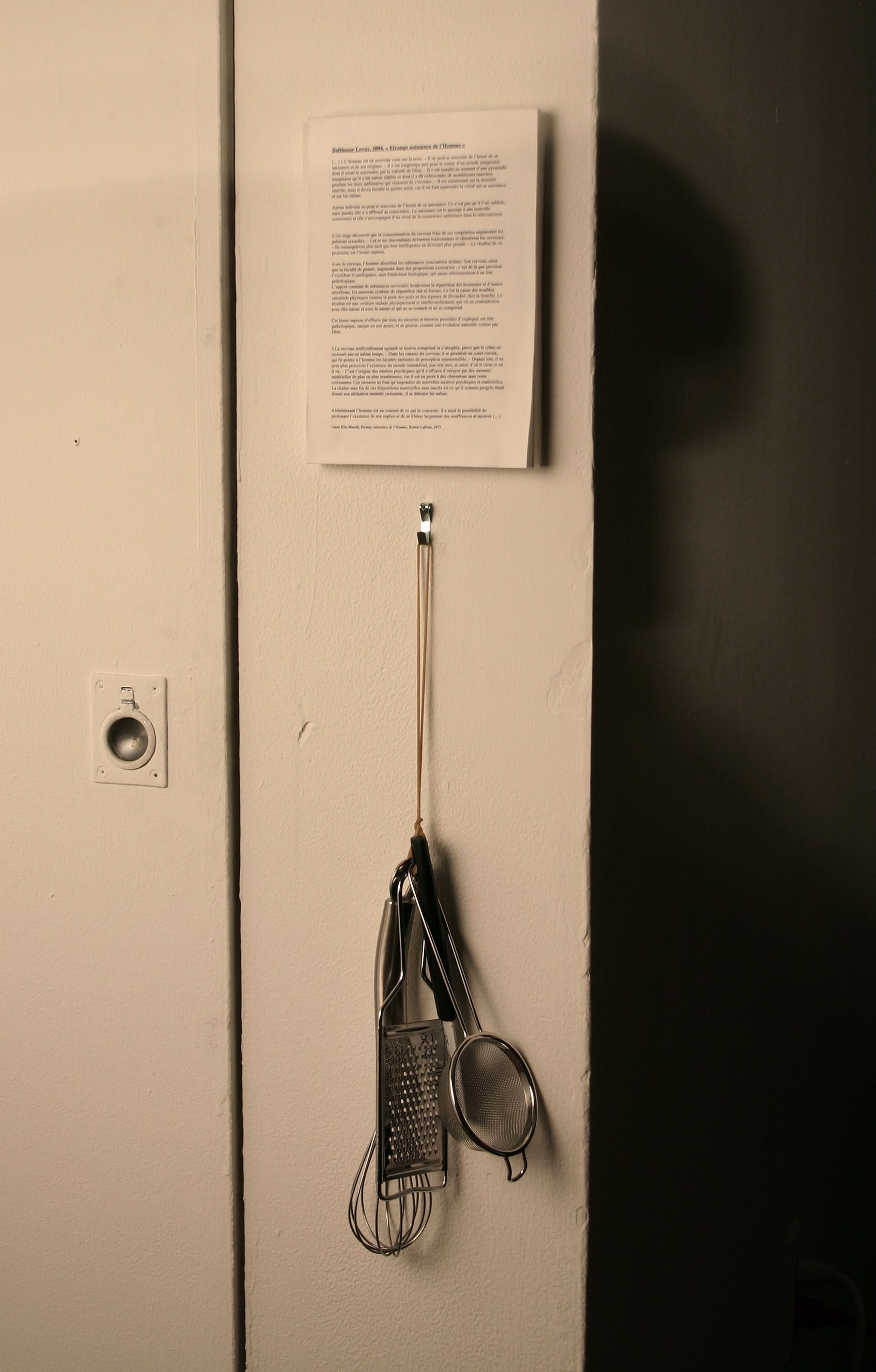None of the Above, None of the Above at Swiss Institute, photo 39