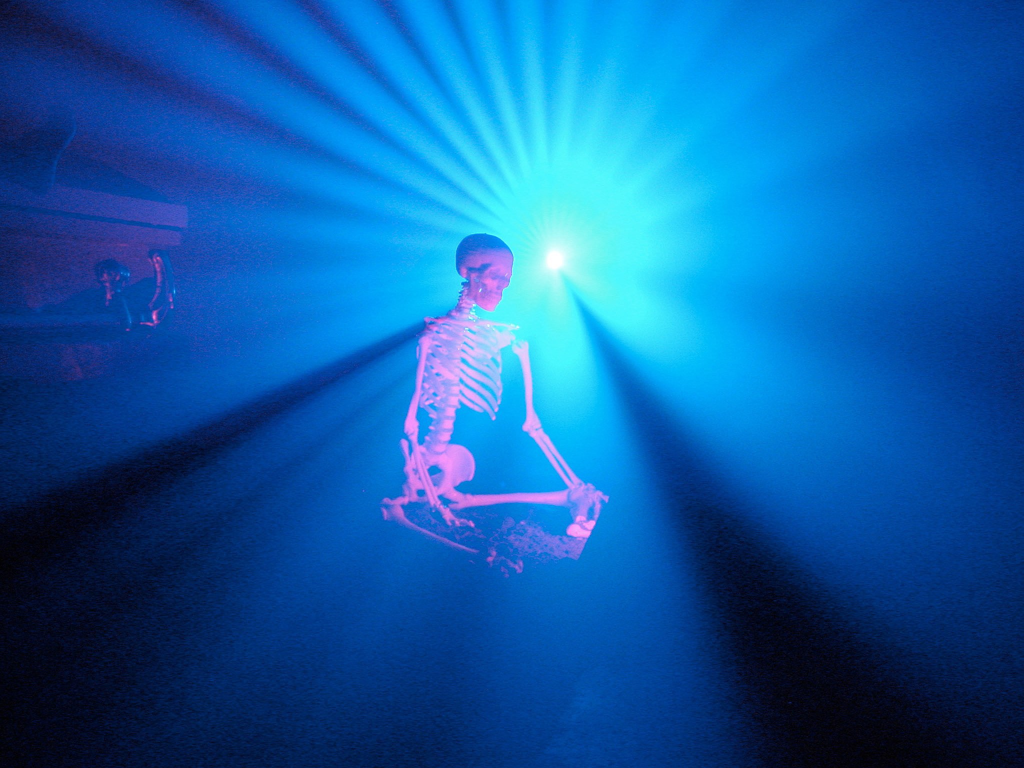 Olaf Breuning, Hello Darkness at Swiss Institute, photo 9