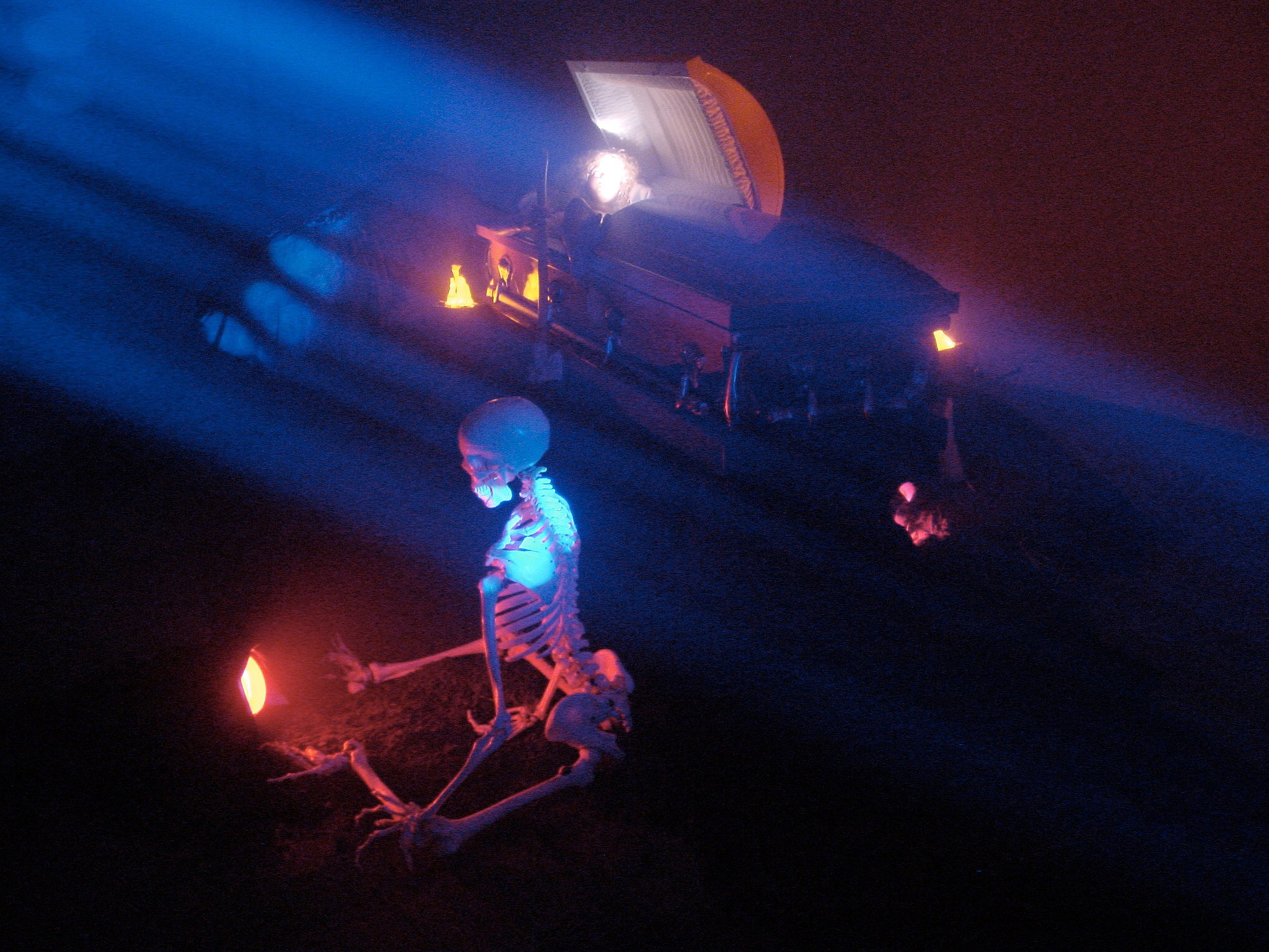 Olaf Breuning, Hello Darkness at Swiss Institute, photo 7
