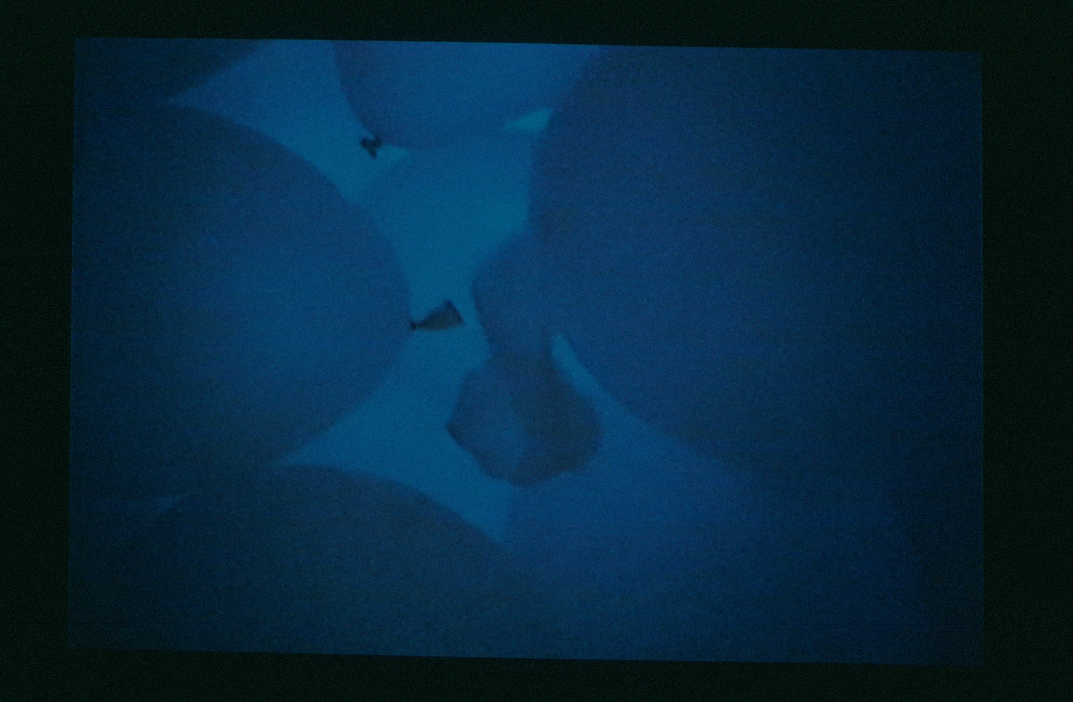 Under Pressure, Under Pressure at Swiss Institute, photo 30