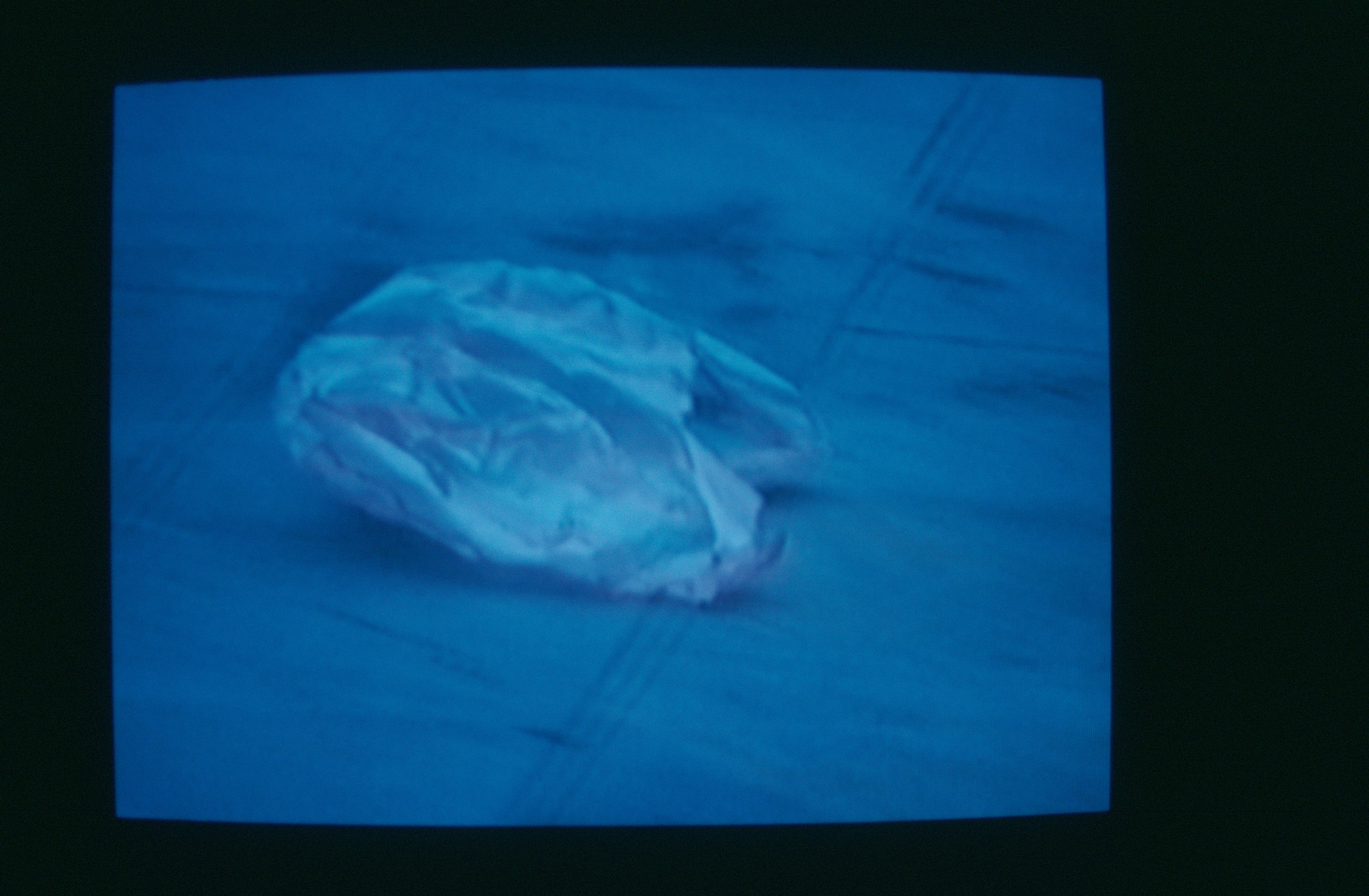Under Pressure, Under Pressure at Swiss Institute, photo 31