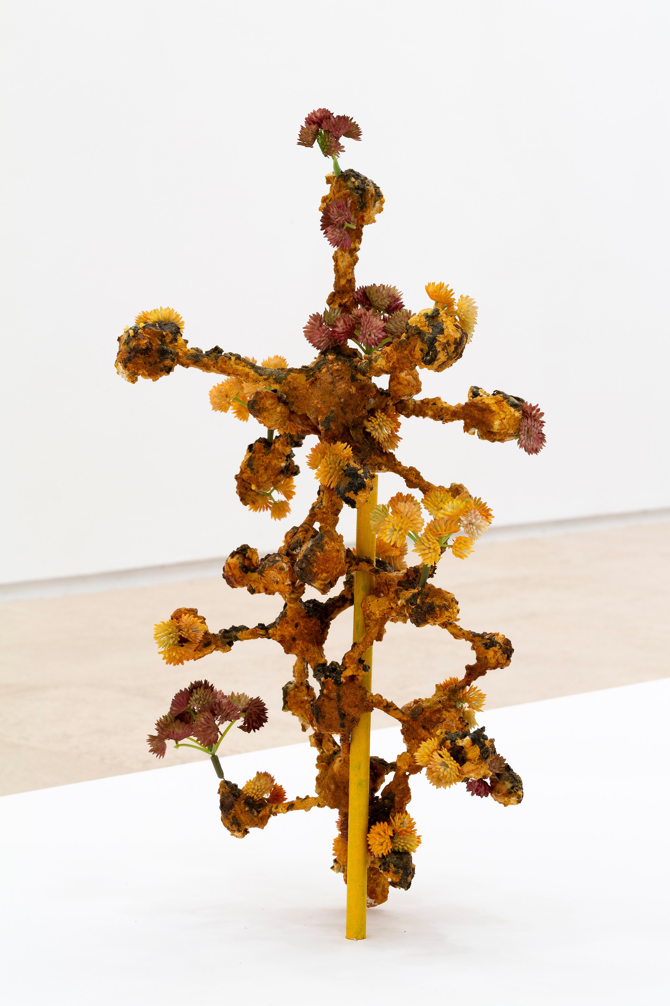 Veit Laurent Kurz, Sequence 7: one work, one week - Plant Fear at Miguel Abreu, New York (88 Eldridge Street, 36 Orchard Street), photo 11