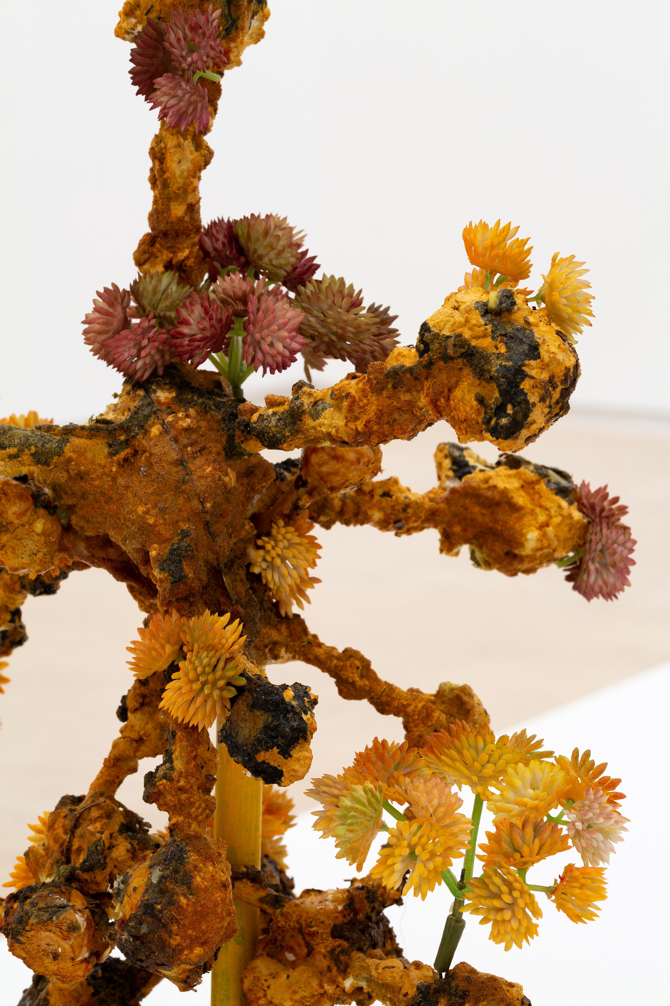 Veit Laurent Kurz, Sequence 7: one work, one week - Plant Fear at Miguel Abreu, New York (88 Eldridge Street, 36 Orchard Street), photo 12