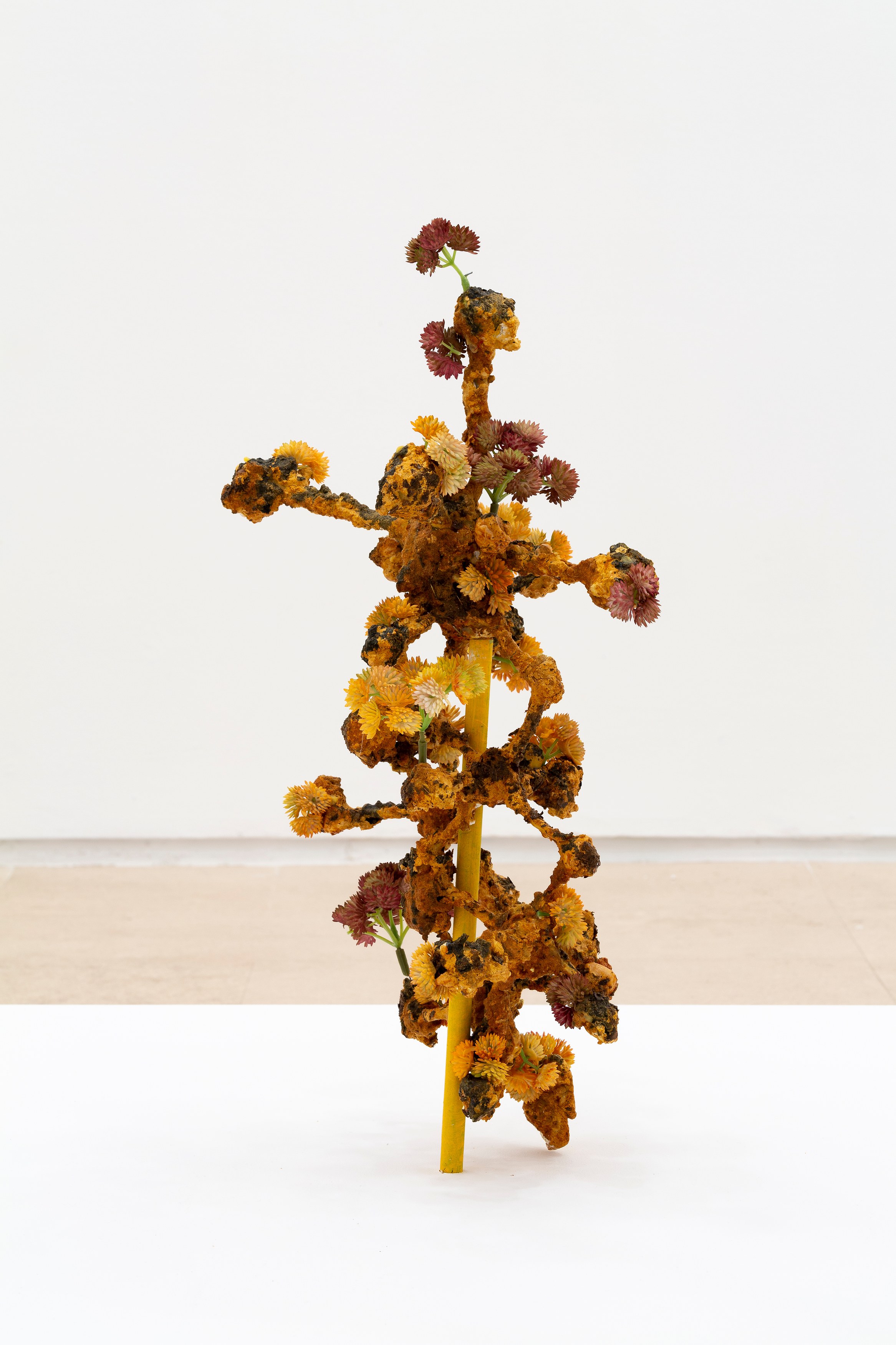 Veit Laurent Kurz, Sequence 7: one work, one week - Plant Fear at Miguel Abreu, New York (88 Eldridge Street, 36 Orchard Street), photo 10