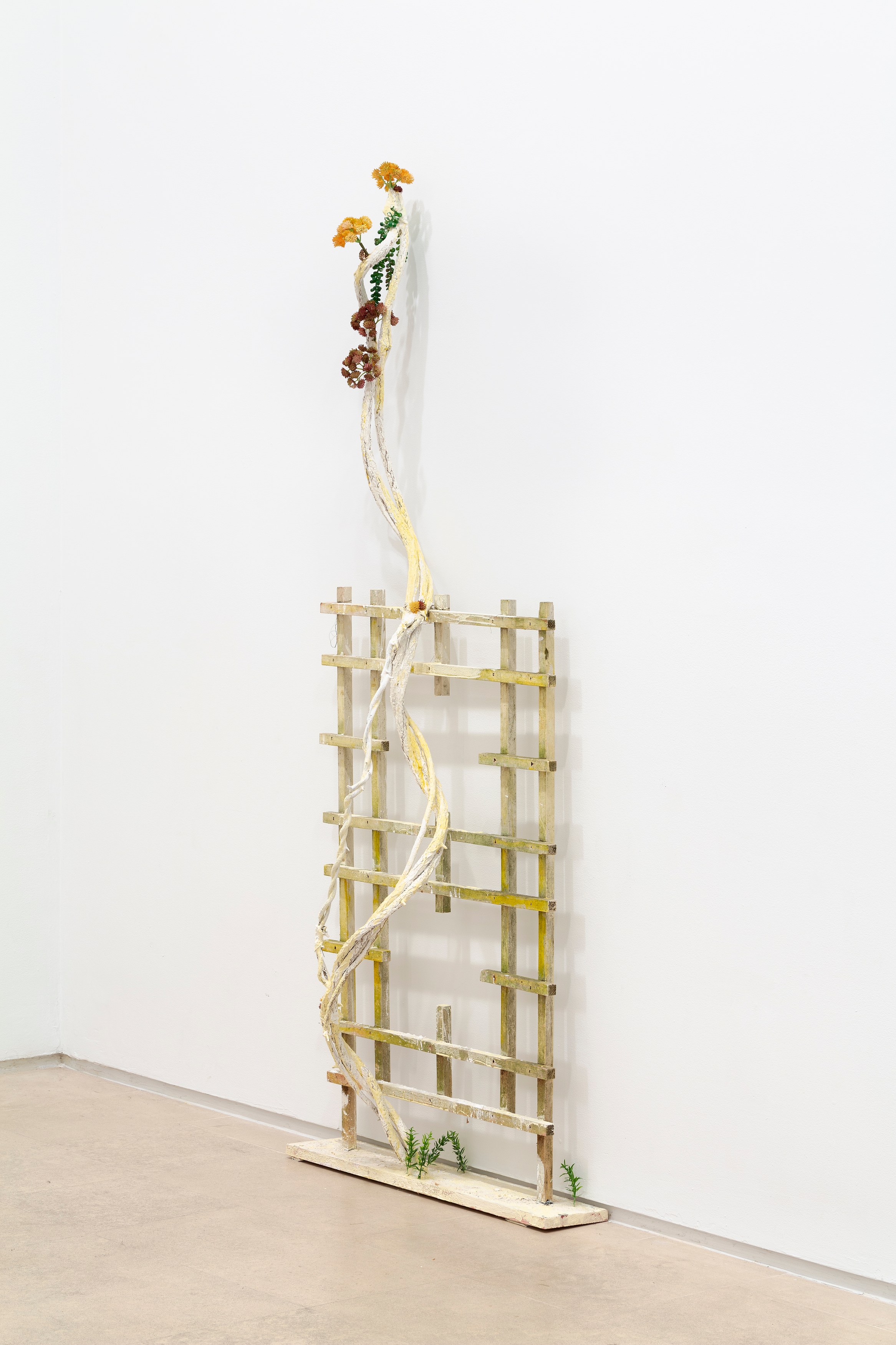 Veit Laurent Kurz, Sequence 7: one work, one week - Plant Fear at Miguel Abreu, New York (88 Eldridge Street, 36 Orchard Street), photo 16