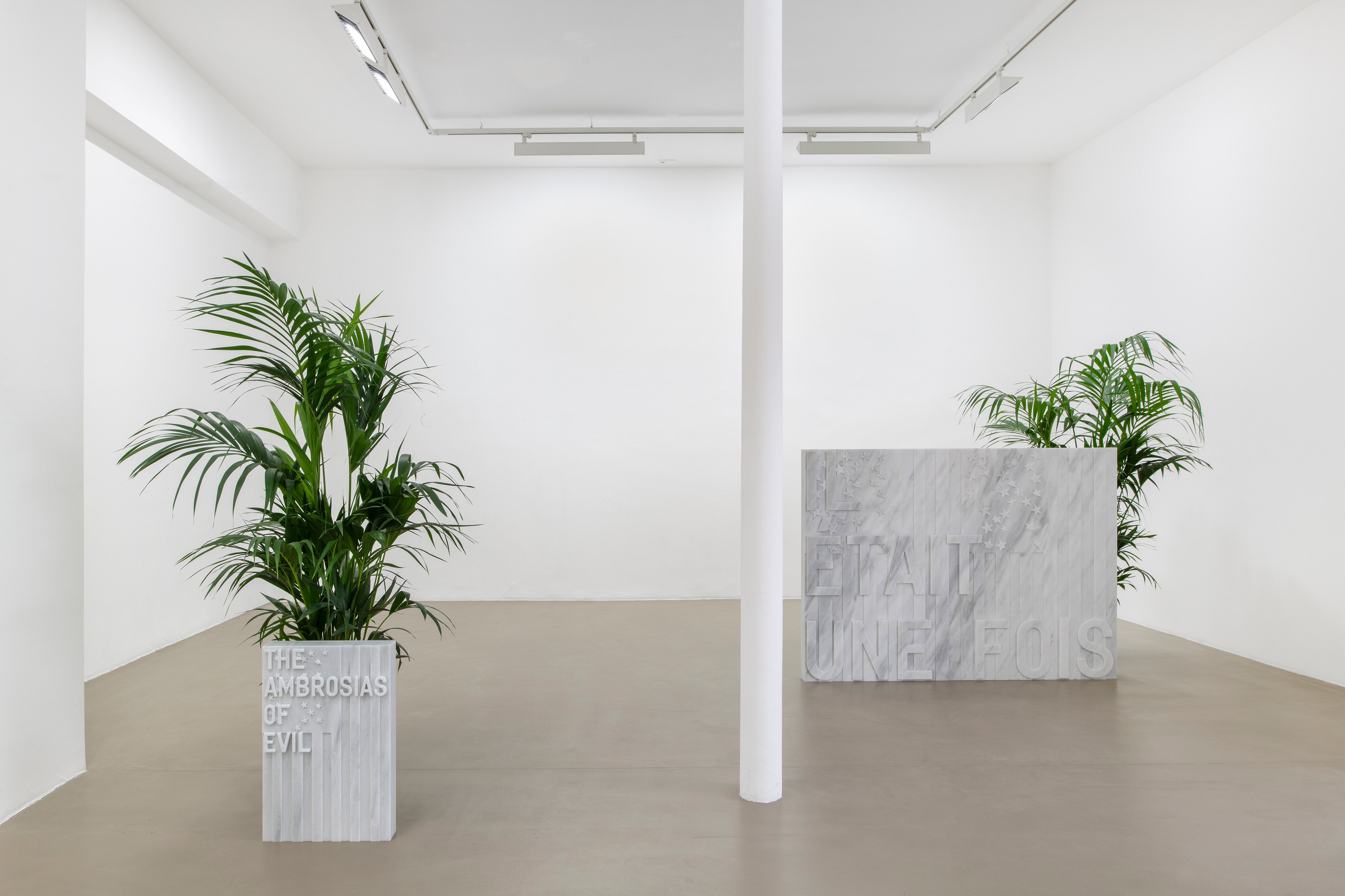 Rirkrit Tiravanija, untitled 2020 (once upon a time) (after jasper johns) at Galerie Chantal Crousel, photo 2