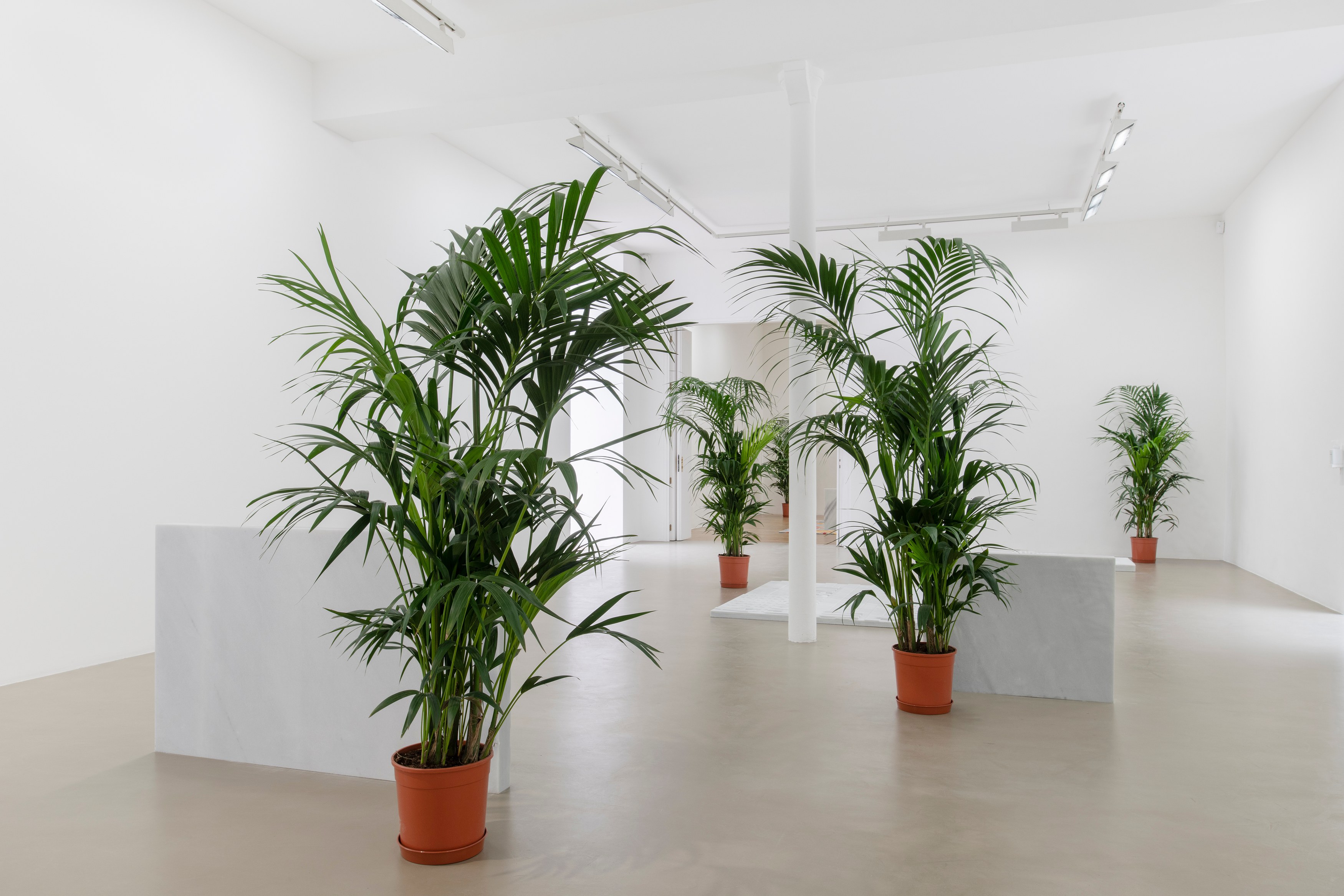 Rirkrit Tiravanija, untitled 2020 (once upon a time) (after jasper johns) at Galerie Chantal Crousel, photo 3