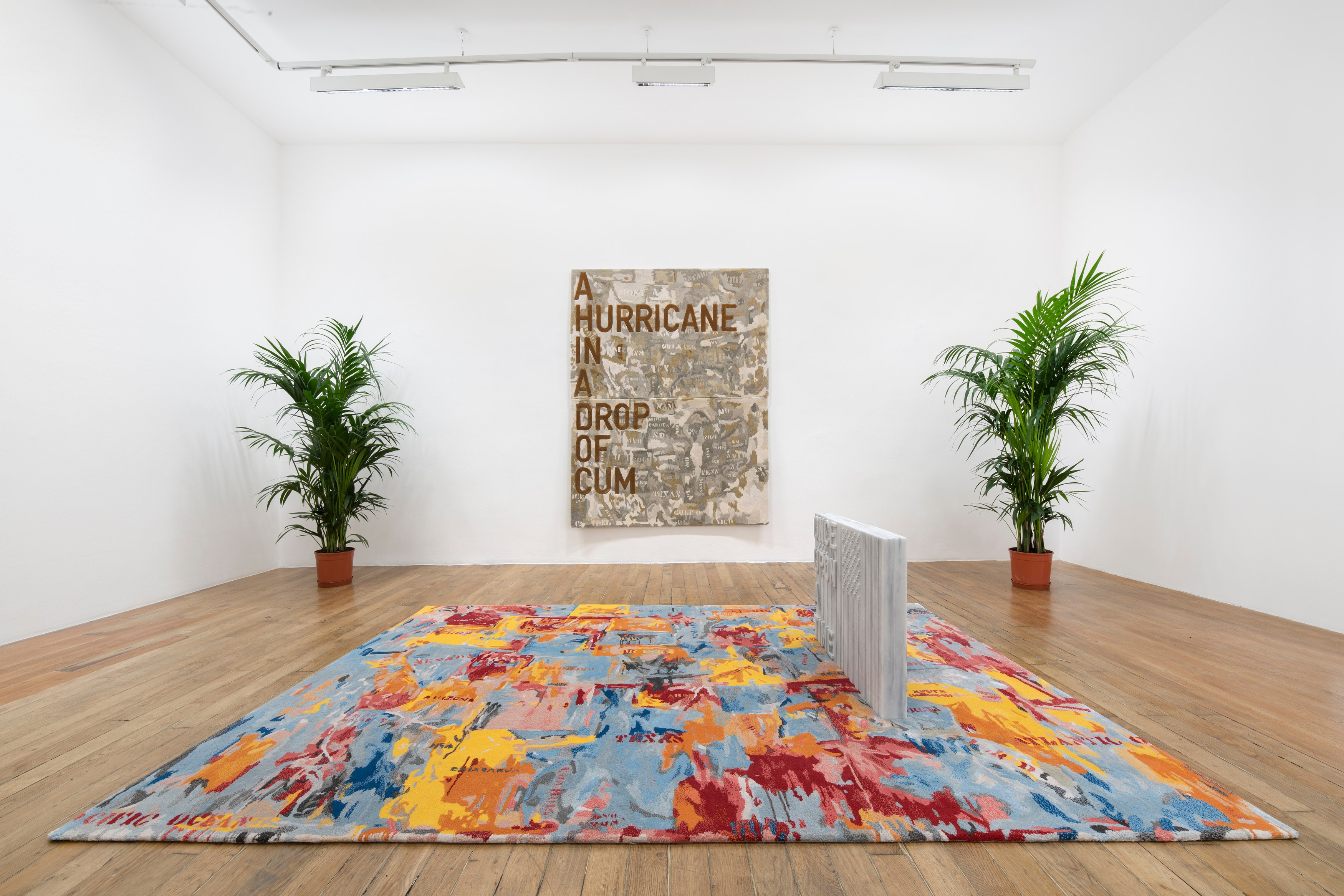 Rirkrit Tiravanija, untitled 2020 (once upon a time) (after jasper johns) at Galerie Chantal Crousel, photo 5
