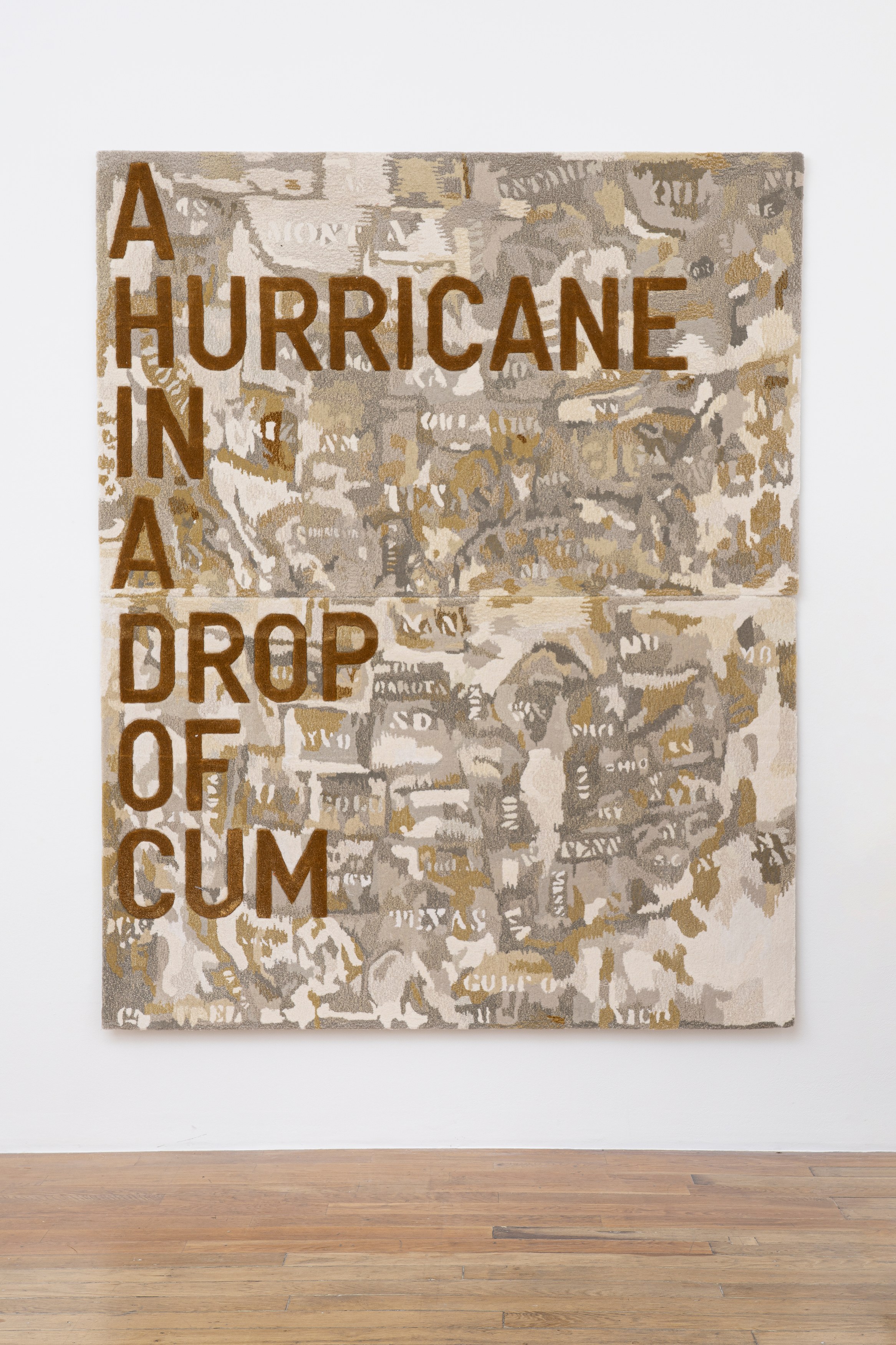 Rirkrit Tiravanija, untitled 2020 (once upon a time) (after jasper johns) at Galerie Chantal Crousel, photo 8